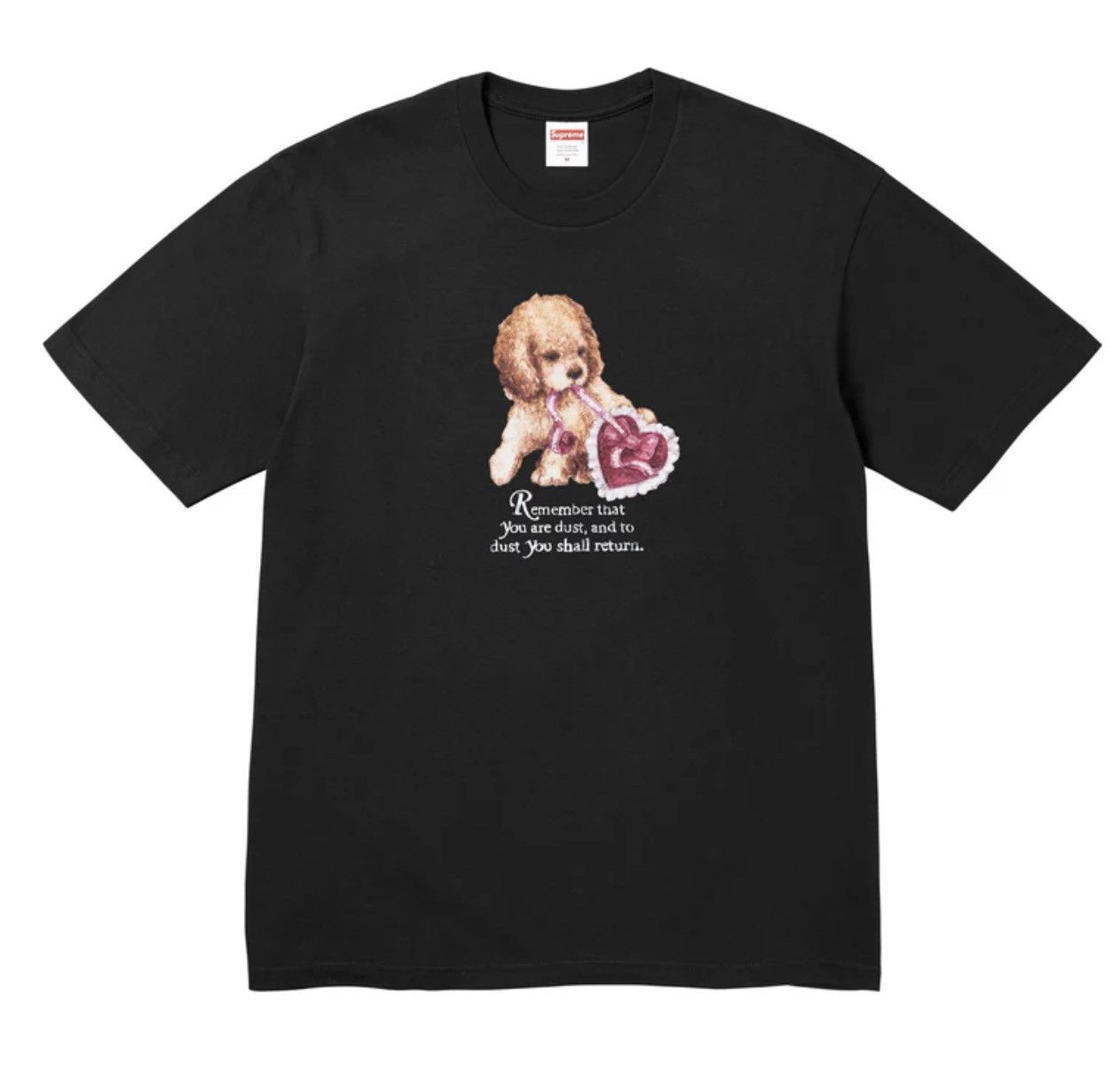 Supreme Supreme Dust Tee Size US XXL / EU 58 / 5 - 1 Preview