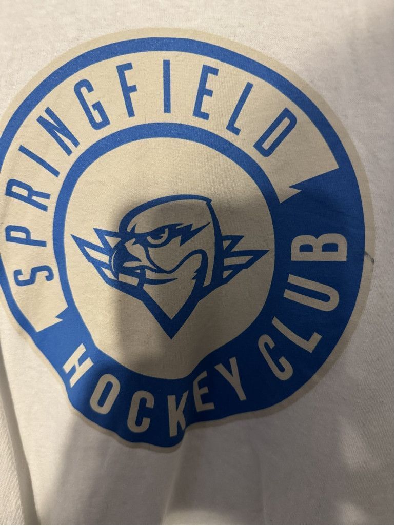 Gildan Springfield Thunderbirds Tee Shirt White Men's Size L Size US L / EU 52-54 / 3 - 4 Thumbnail