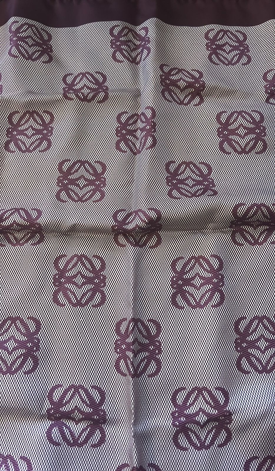 Loewe Loewe Silk Scarf Size ONE SIZE - 9 Thumbnail