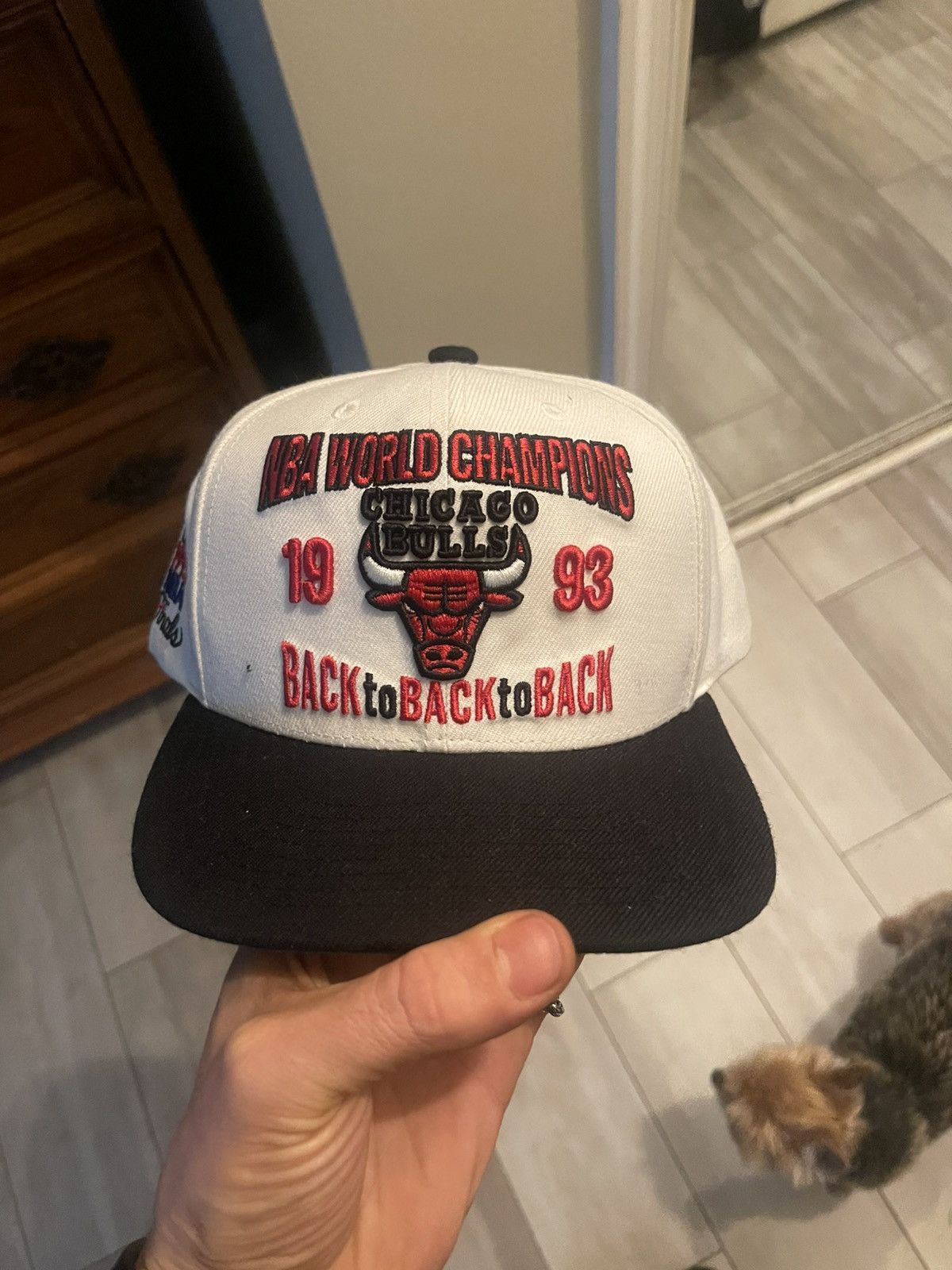 Mitchell & Ness Vintage Chicago Bulls 93 NBA Finals Mitchell & Ness Snapback Size ONE SIZE - 1 Thumbnail