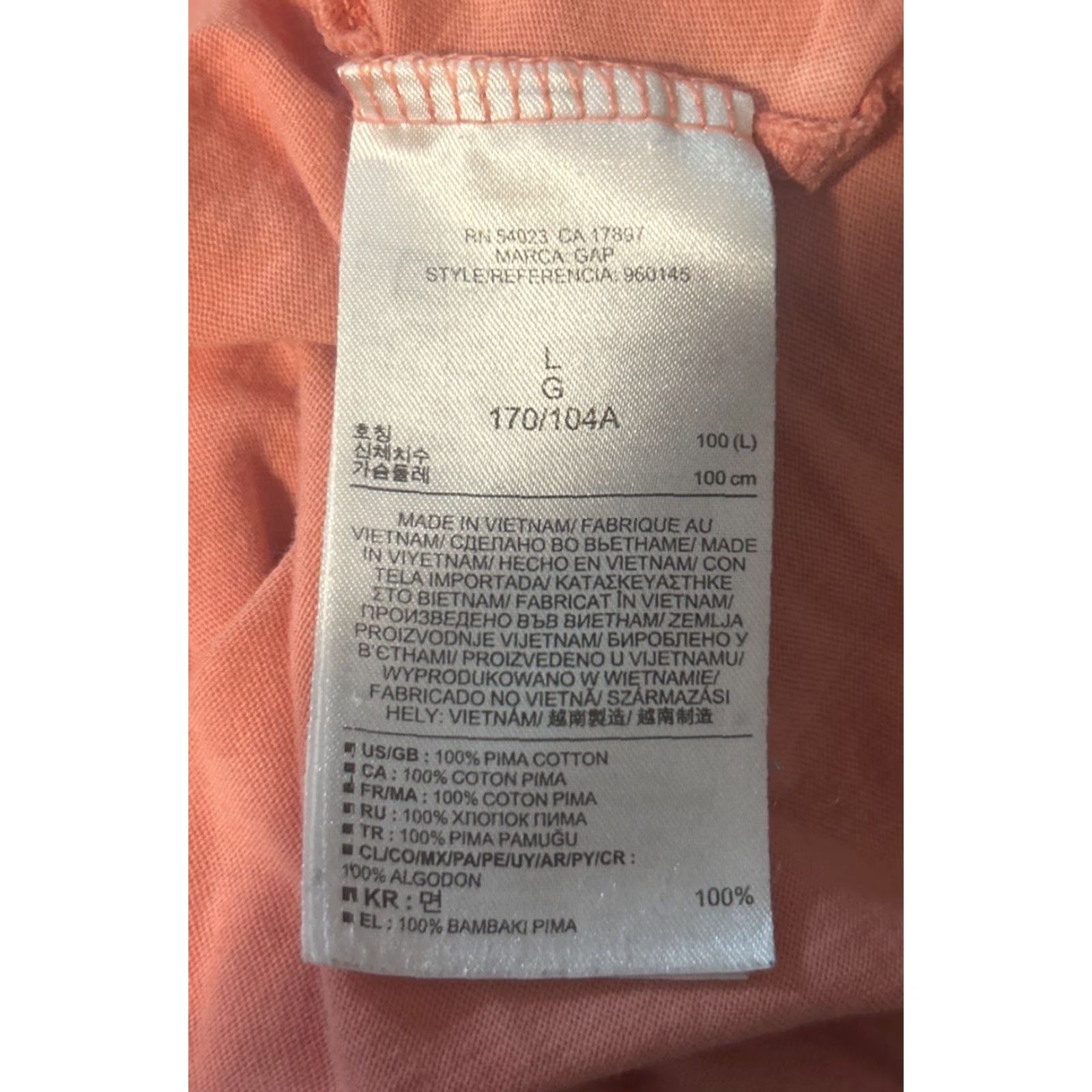 Gap Gap T-Shirt V-Neck Pocket Orange 1018 Large Unisex Adults Regular Cotton 100% Pima Lightweight Classic Marbled Wash Mens/Womens Size US L / EU 52-54 / 3 - 4 Thumbnail