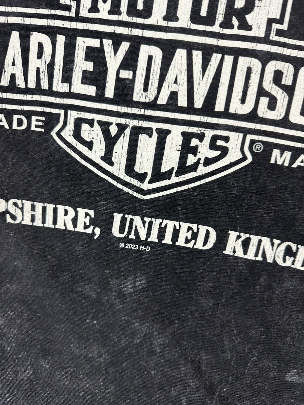 Harley Davidson Harley Davidson Taiday Mens Scull Overprint Logo T-Shirt Size US XL / EU 56 / 4 - 10 Thumbnail