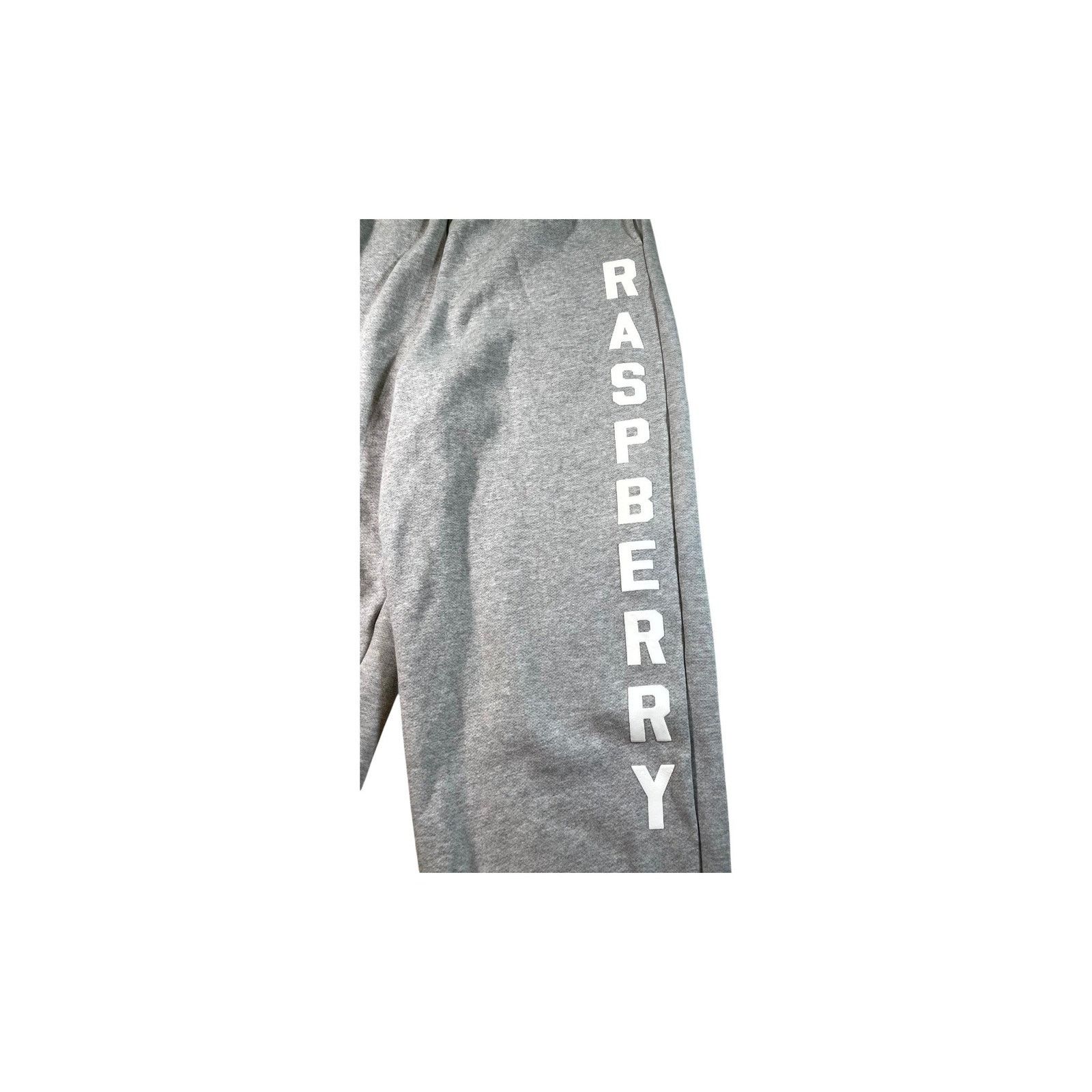 The GV Gallery GV Gallery Raspberry Hills Classic Grey Sweats Size US 30 / EU 46 - 2 Thumbnail