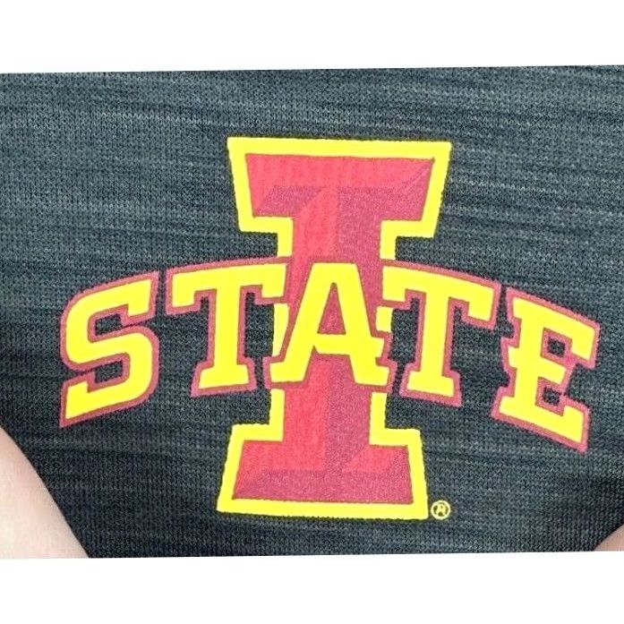 Vintage J. America Iowa State Cyclones Pullover Shirt Mens XL Grey 1/4 Zip Mock Neck Athletic Lightweight Size US XL / EU 56 / 4 - 4 Thumbnail