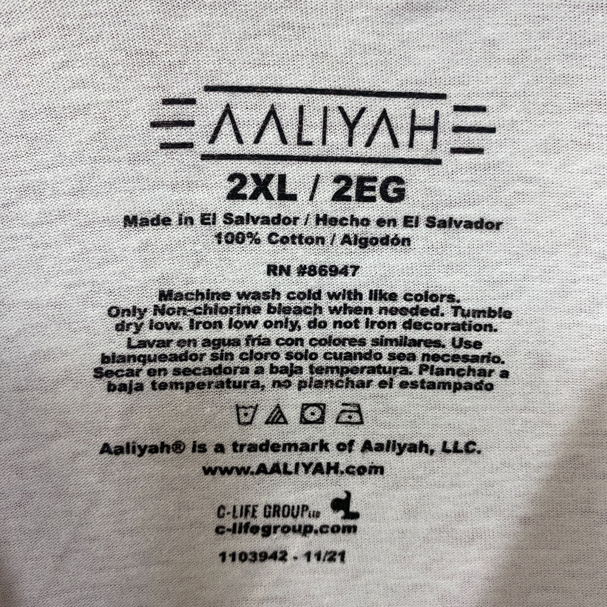 Rap Tees Aaliyah Airbrush Queen of Urban Pop Self-titled Album T-Shir Size US XXL / EU 58 / 5 - 4 Thumbnail