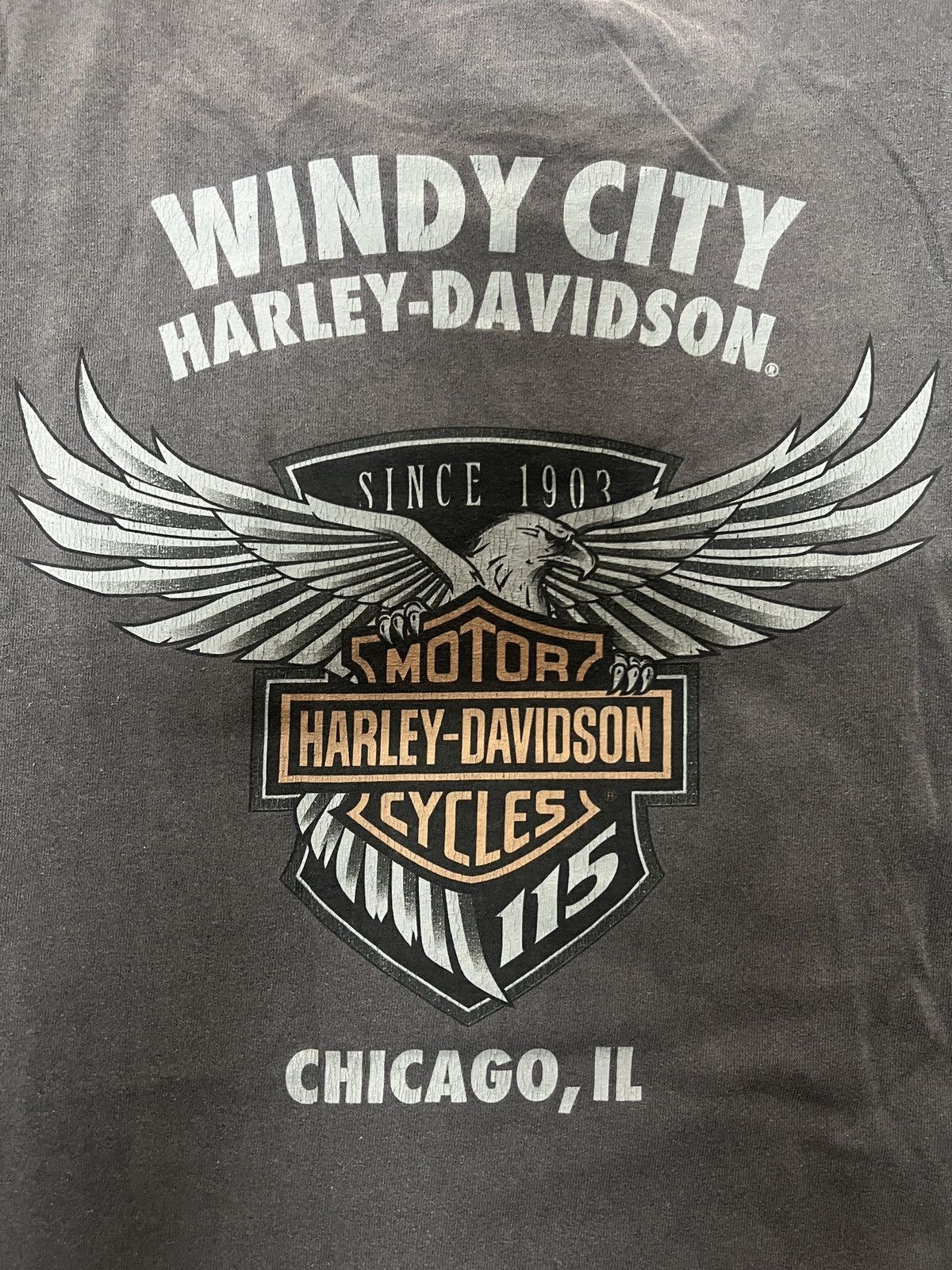 Harley Davidson Harley Davidson Large Eagle T Shirt Size Medium Size US M / EU 48-50 / 2 - 6 Thumbnail