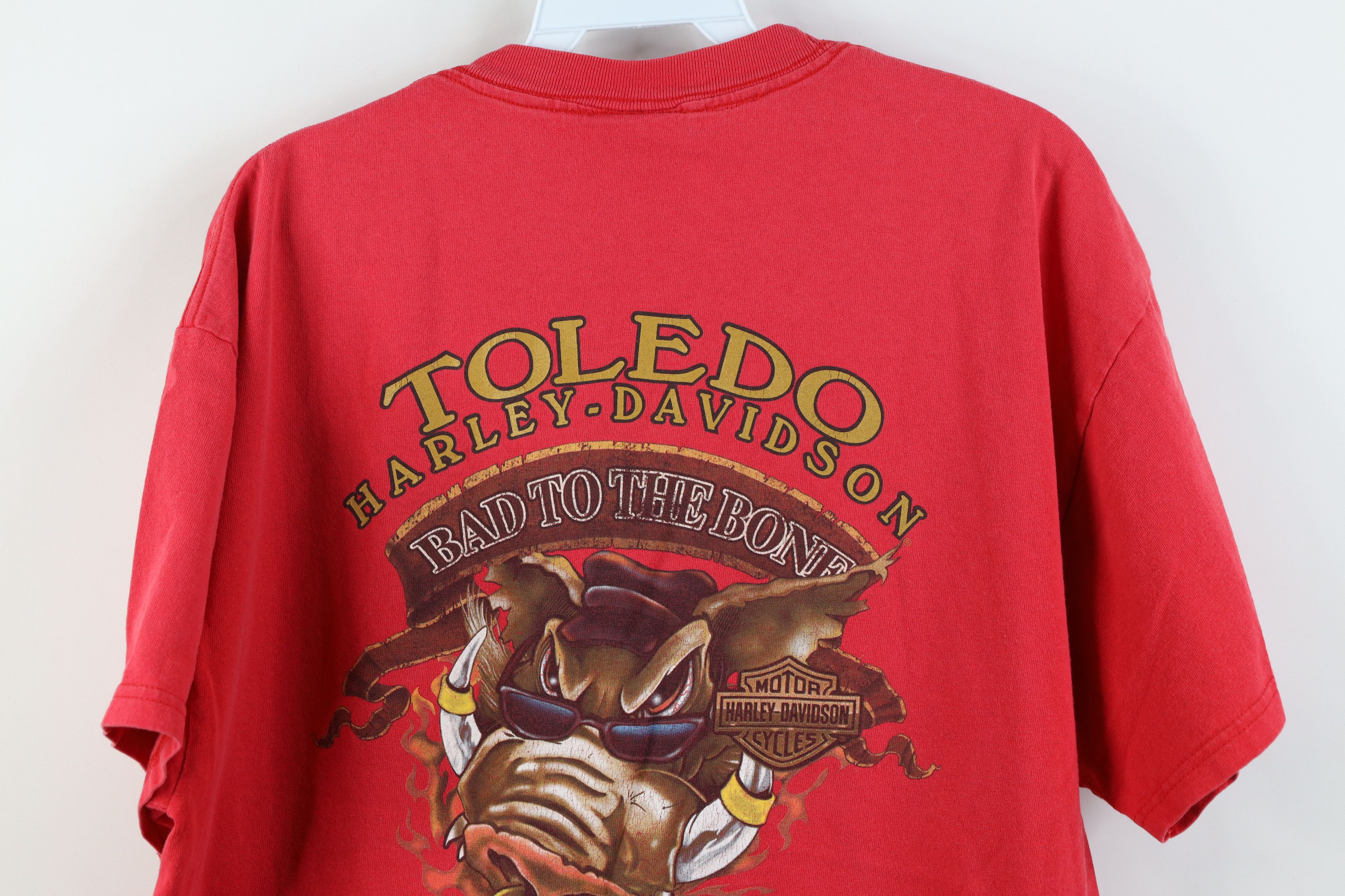 Harley Davidson Vintage Y2K Harley Davidson Fire Flames Hog Tribal T-Shirt Size US L / EU 52-54 / 3 - 14 Thumbnail