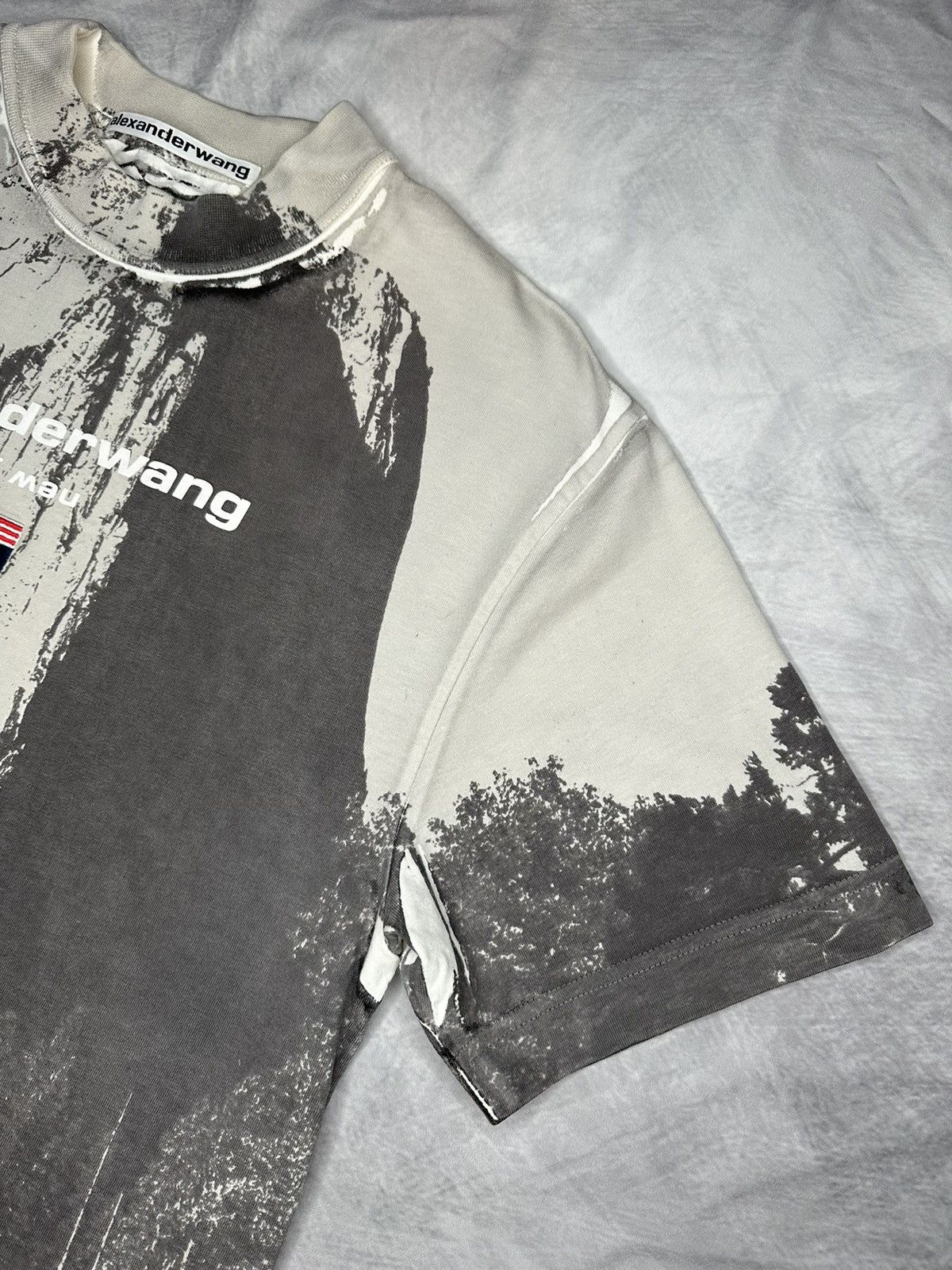 Alexander Wang × Japanese Brand Alexander Wang Cathedral Rock crew-neck T-shirt Size US S / EU 44-46 / 1 - 3 Thumbnail