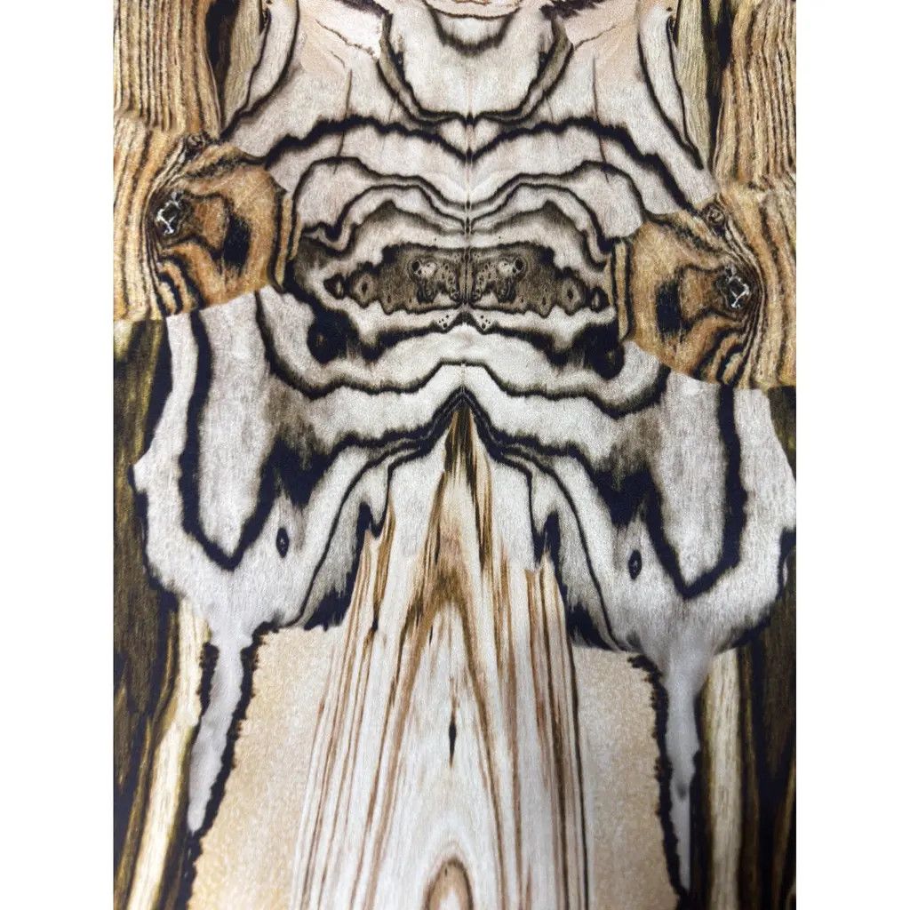 Alexander McQueen Alexander McQueen Abstract Wood Print Silk Skirt Size 30" / US 8 / IT 44 - 6 Thumbnail