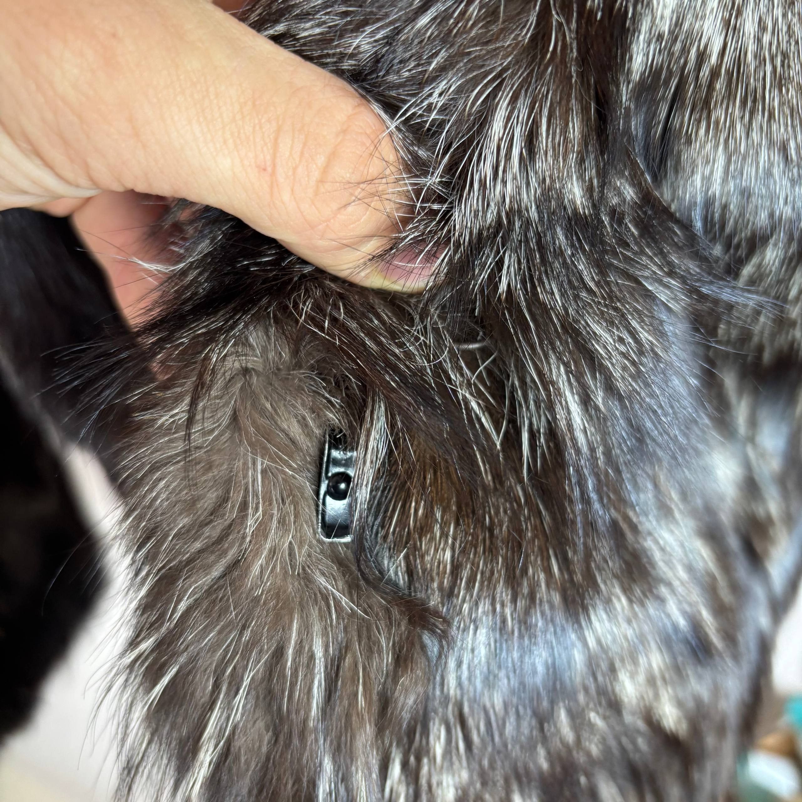Other REAL BLACK SILVER FOX FUR COAT JACKET VINTAGE Size US M / EU 48-50 / 2 - 5 Thumbnail