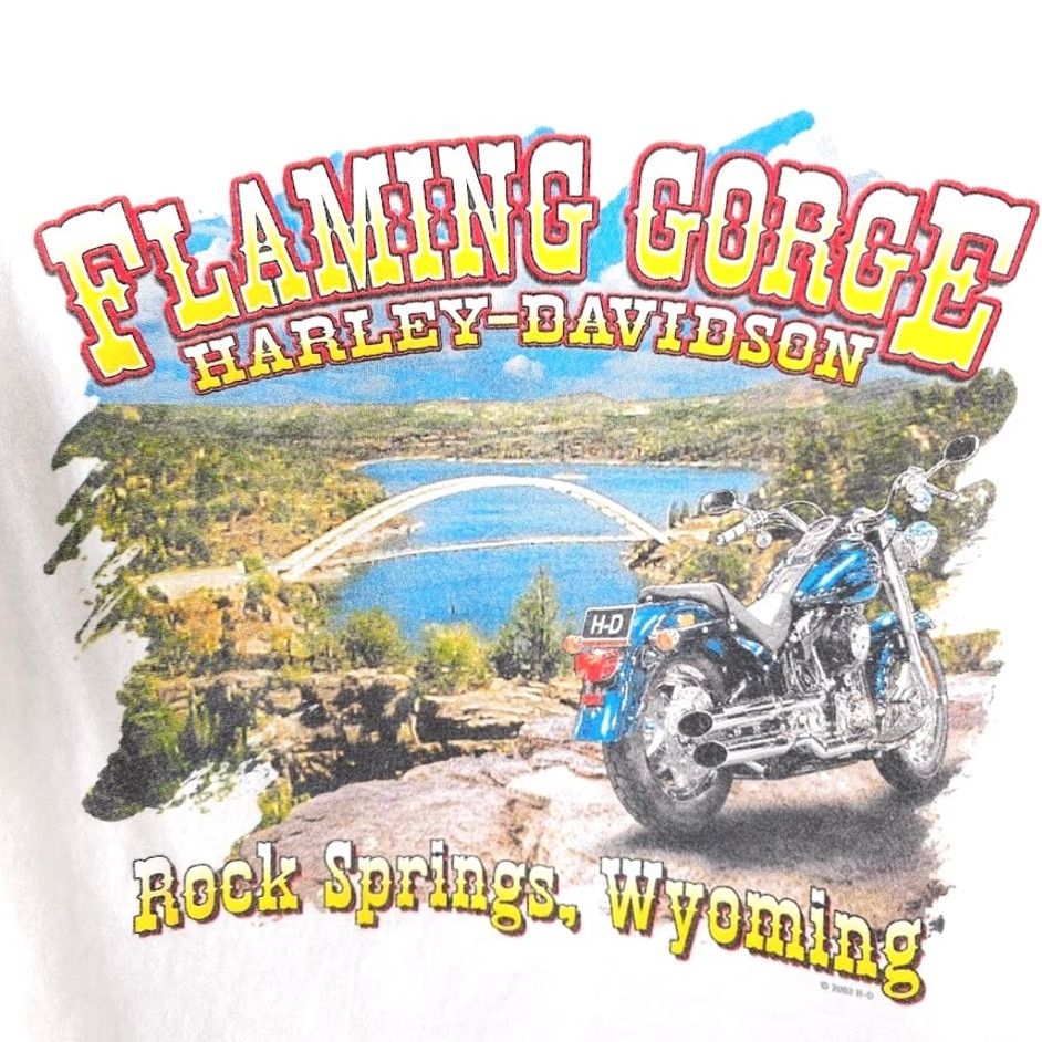 Harley Davidson Harley-Davidson T Shirt Mens Large White Flaming Gorge Rock Springs Wyoming Shirt Mens Large White Harley-Davidson Size US L / EU 52-54 / 3 - 5 Thumbnail