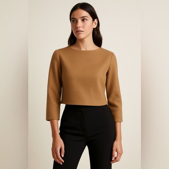 Max Mara MaxMara Camelhair Top Sz 8 (IT 42 / US 8 / FR 40) – Italy Size M / US 6-8 / IT 42-44 - 1 Thumbnail