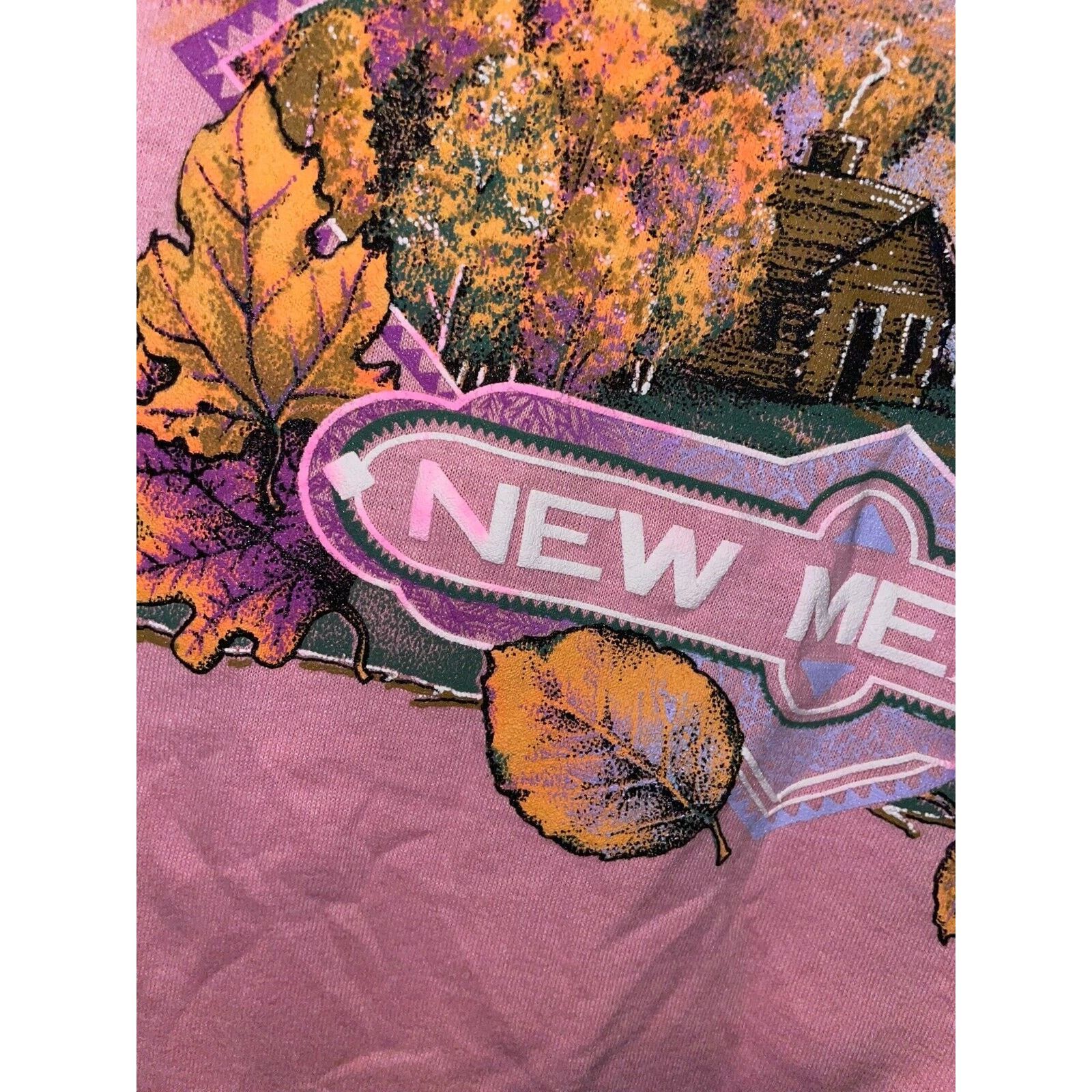 Jerzees Vintage Ruidoso New Mexico Shirt Fall Leaves Tree Tee VTG L Size US L / EU 52-54 / 3 - 6 Thumbnail