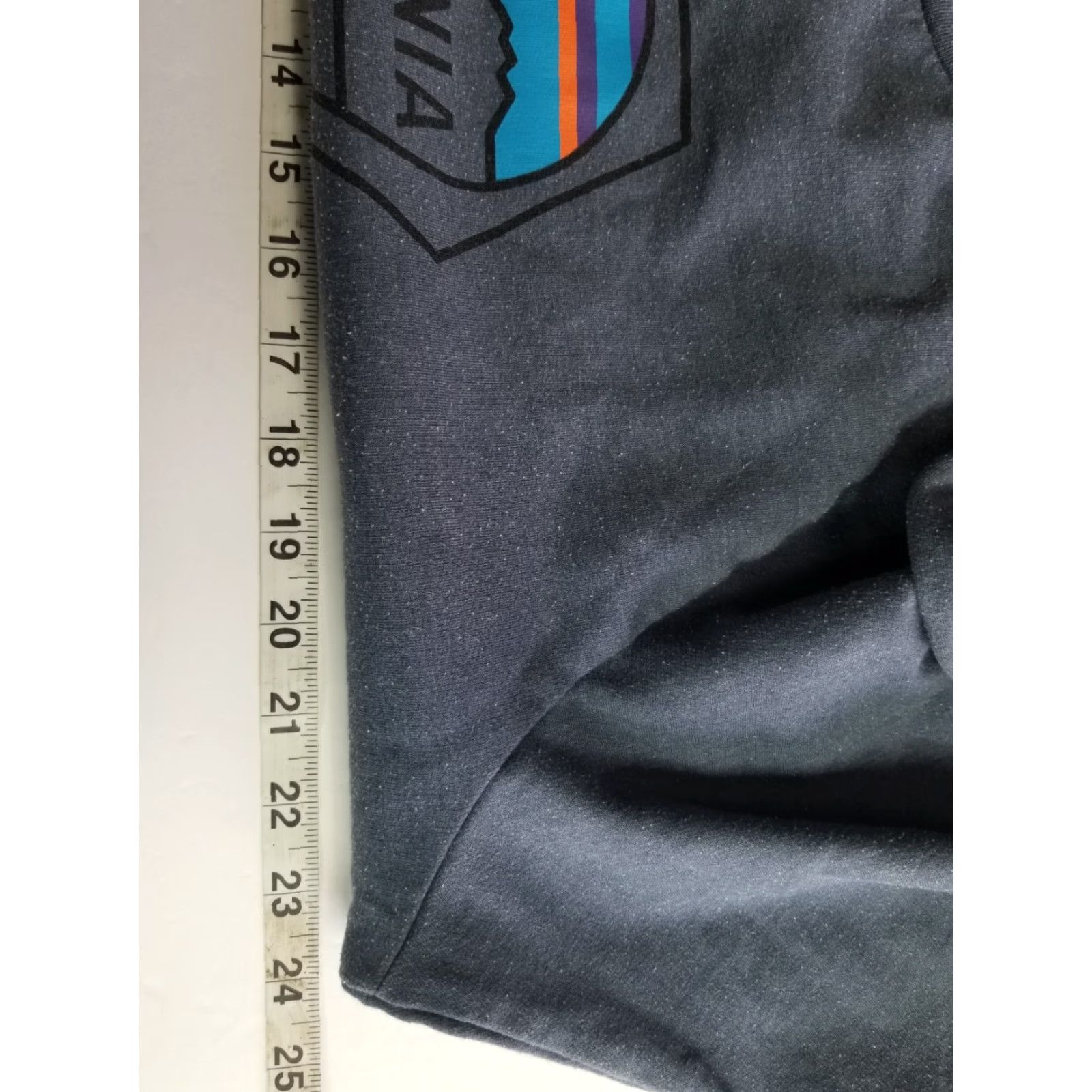 Patagonia Patagonia Sweatshirt Crewneck Blue L Men Pullover All Seasons Graphic Logo Athletic Hiking Running Gym Size US L / EU 52-54 / 3 - 4 Thumbnail