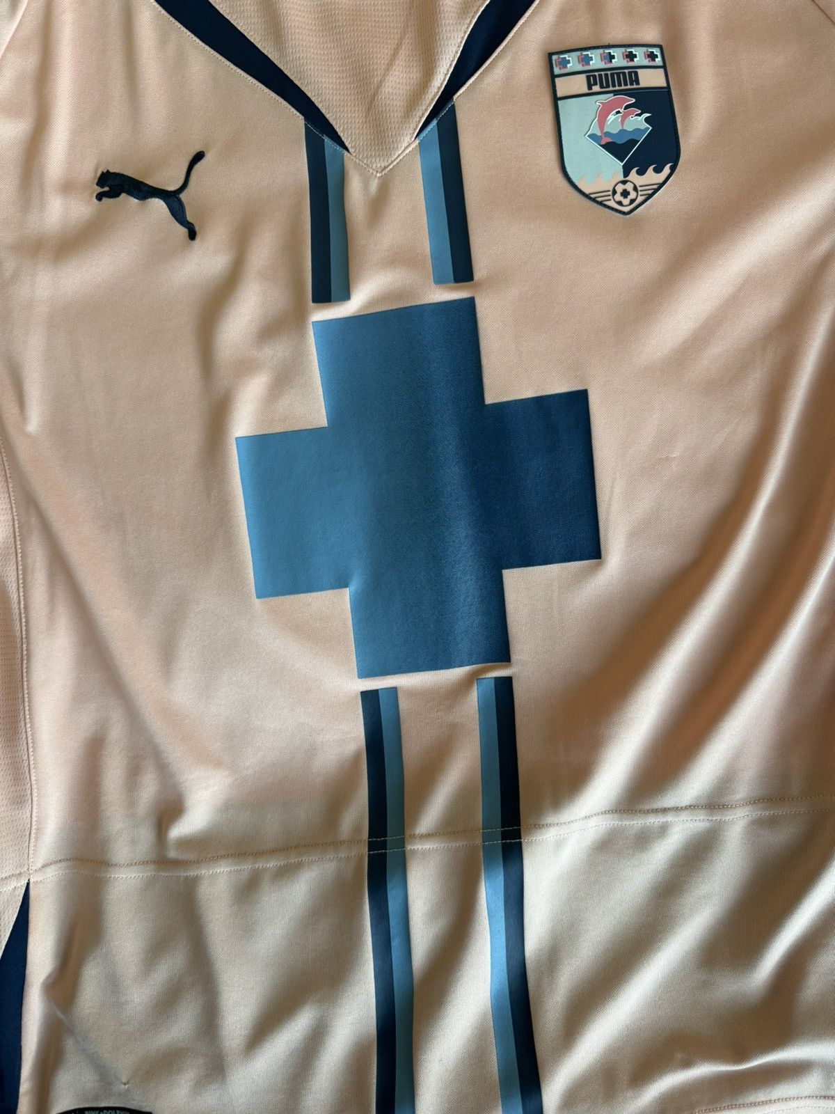 Pink Dolphin × Puma Pink Dolphin x Puma Soccer Jersey Size US L / EU 52-54 / 3 - 5 Thumbnail