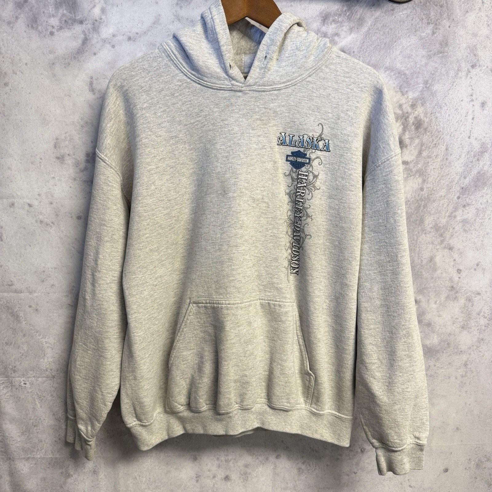 Harley Davidson Harley Davidson Hoodie Sweatshirt Womens Large Gray Taku Ala Size L / US 10 / IT 46 - 1 Thumbnail