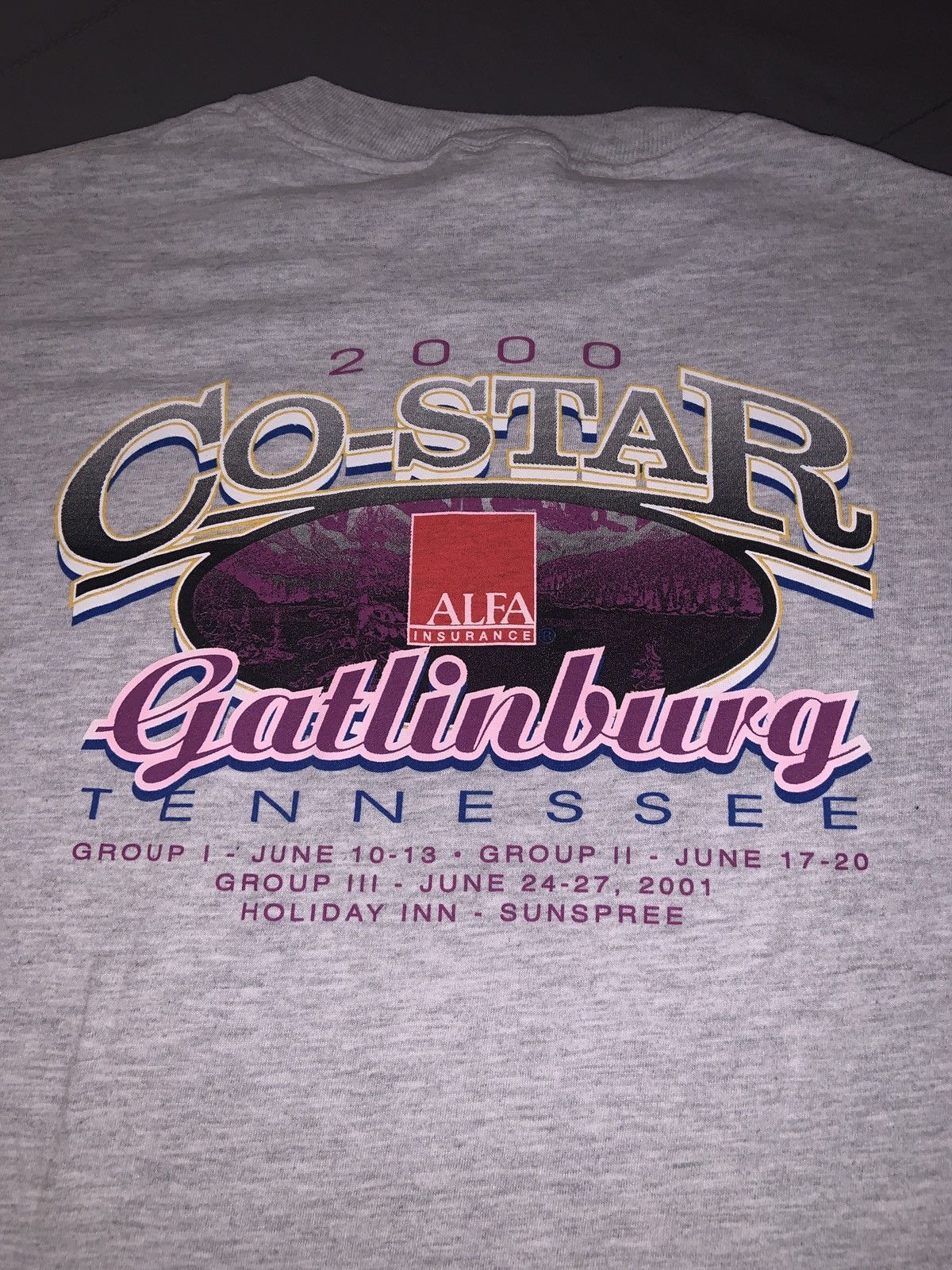 Jerzees Vintage - Co-Star Alfa Insurance Tee - Size XL Size US XL / EU 56 / 4 - 5 Thumbnail