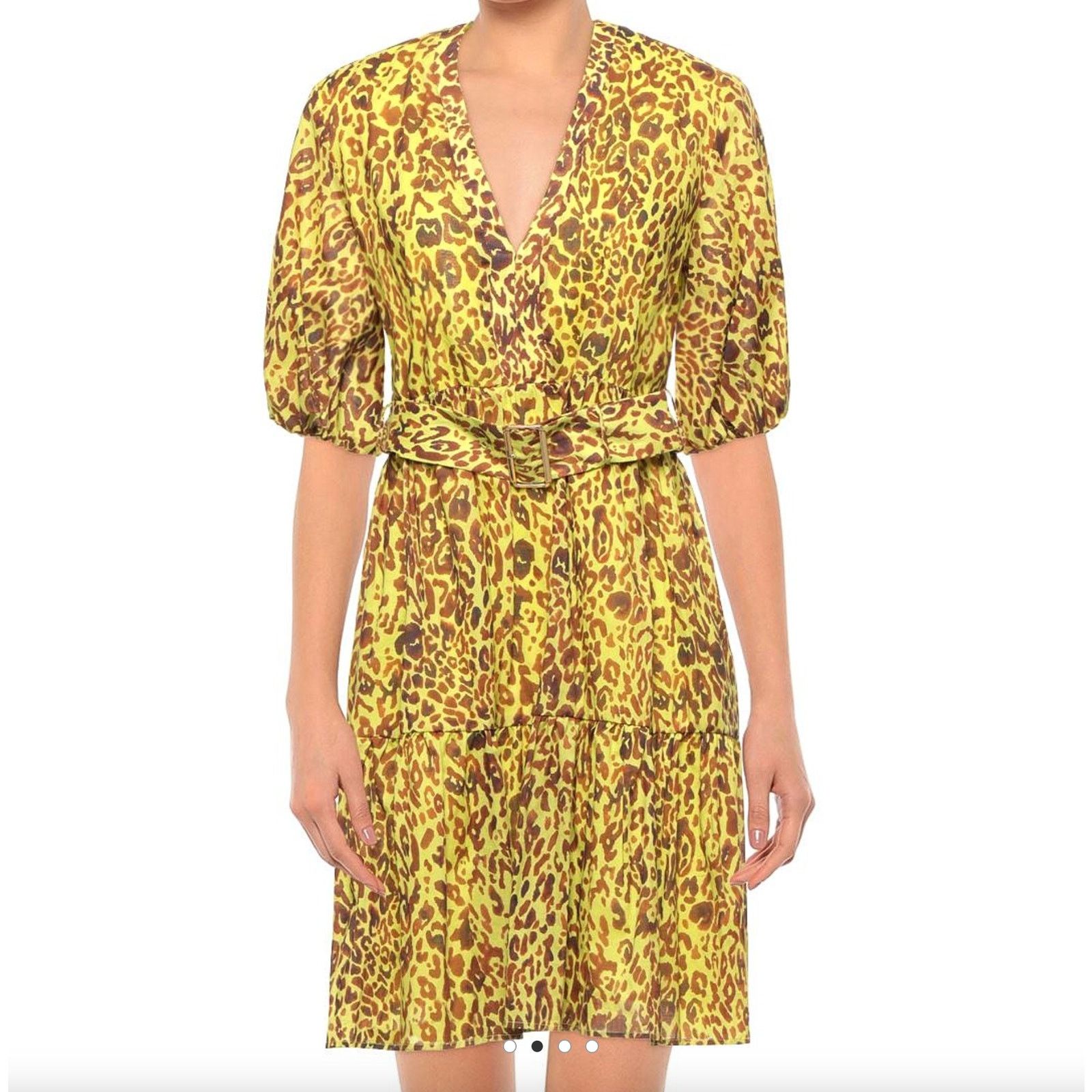Pinko PINKO Belted Button Down Leopard Print Mini Dress Size 4 Size S / US 4 / IT 40 - 1 Thumbnail