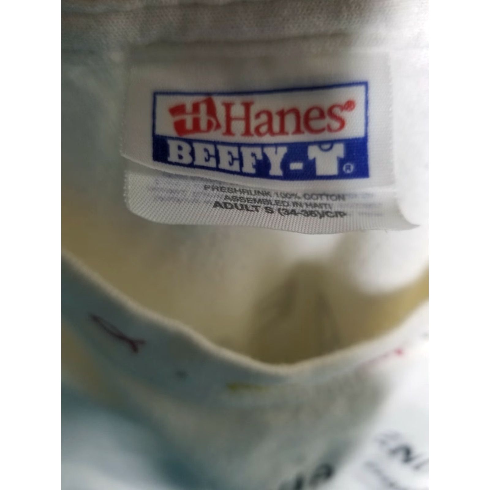Hanes VINTAGE Hanes Mens S T-Shirt Beige Crew Neck Short Sleeve Cotton Carpe Diocese of FL Butterfly Jesus Fishing 90s Christian 2000s Y2K Size US S / EU 44-46 / 1 - 4 Thumbnail