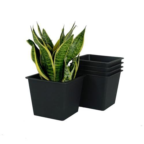 Designer × Homemade 5" Square Nursery Plant Pot - Garden Plastic Pots with Drain Size US L / EU 52-54 / 3 - 2 Thumbnail