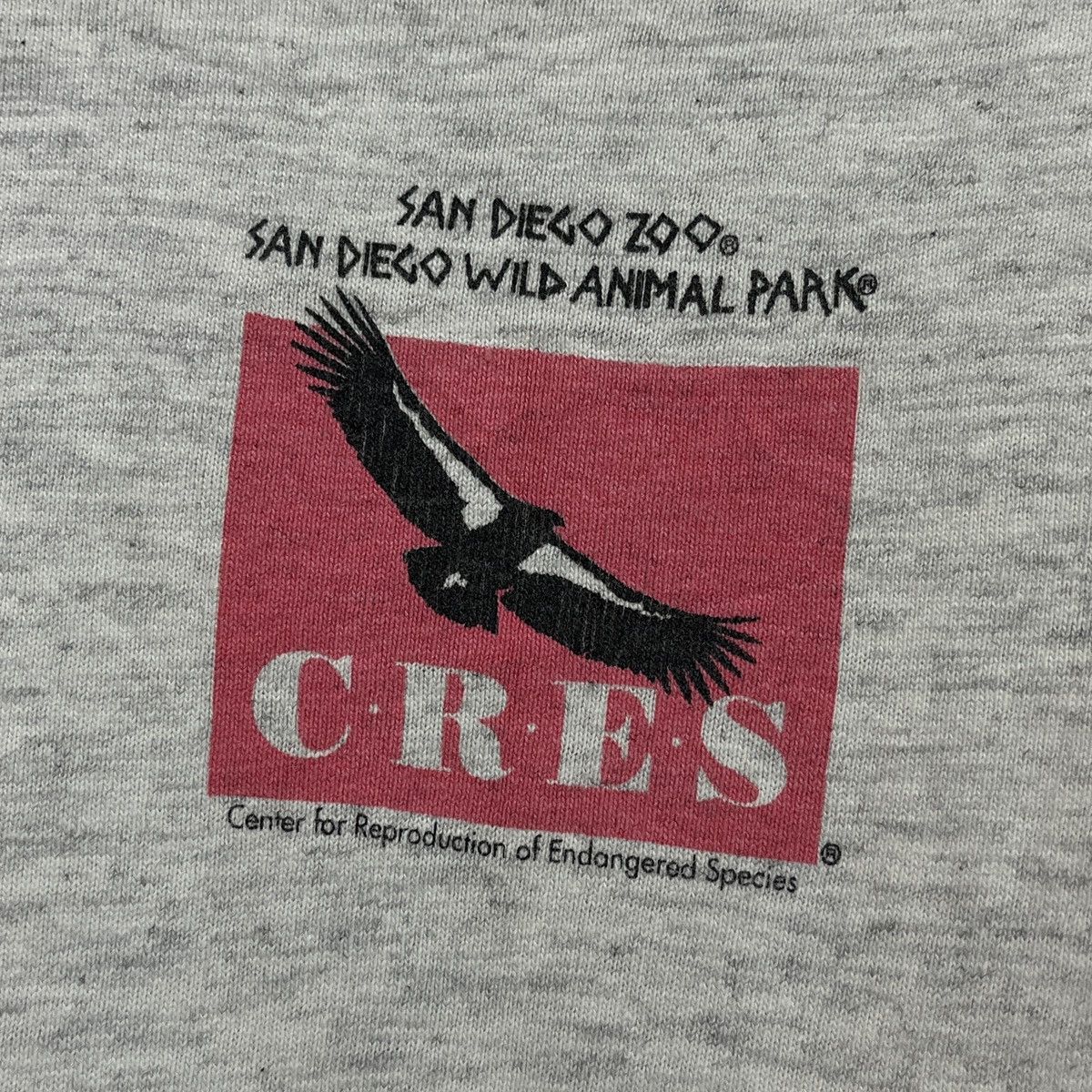 All Sport Rare Vintage 1990s San Diego Zoo Animal Park TShirt Size US L / EU 52-54 / 3 - 13 Thumbnail