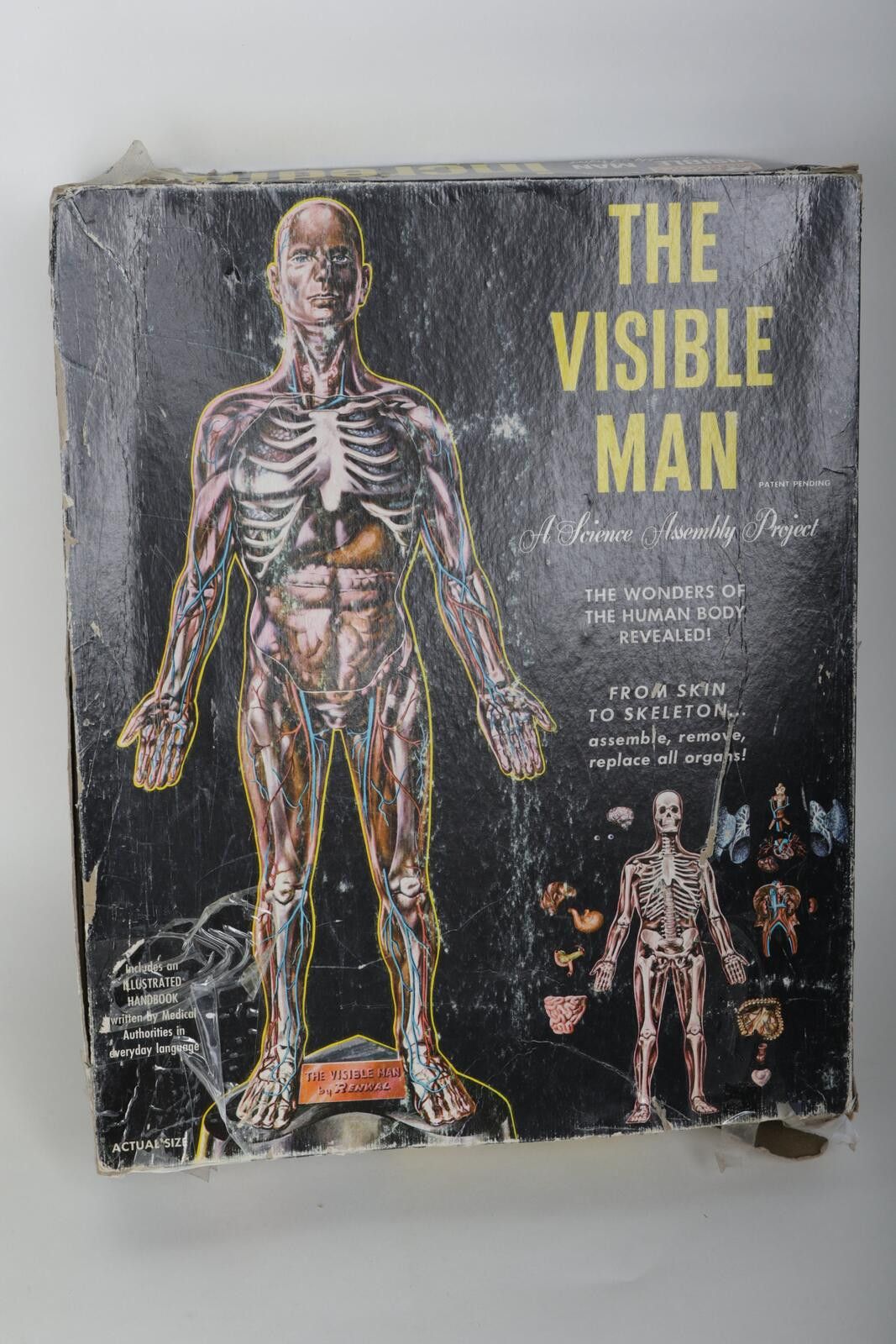 Urban Renewal 60's Renwal The Invisible Man Anatomy Model Kit Size ONE SIZE - 1 Thumbnail