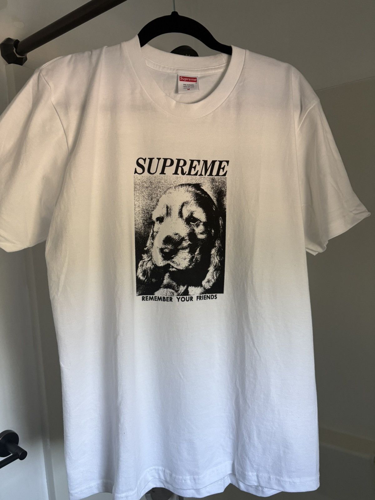 Supreme New York Remember Your Friends Doggy tee