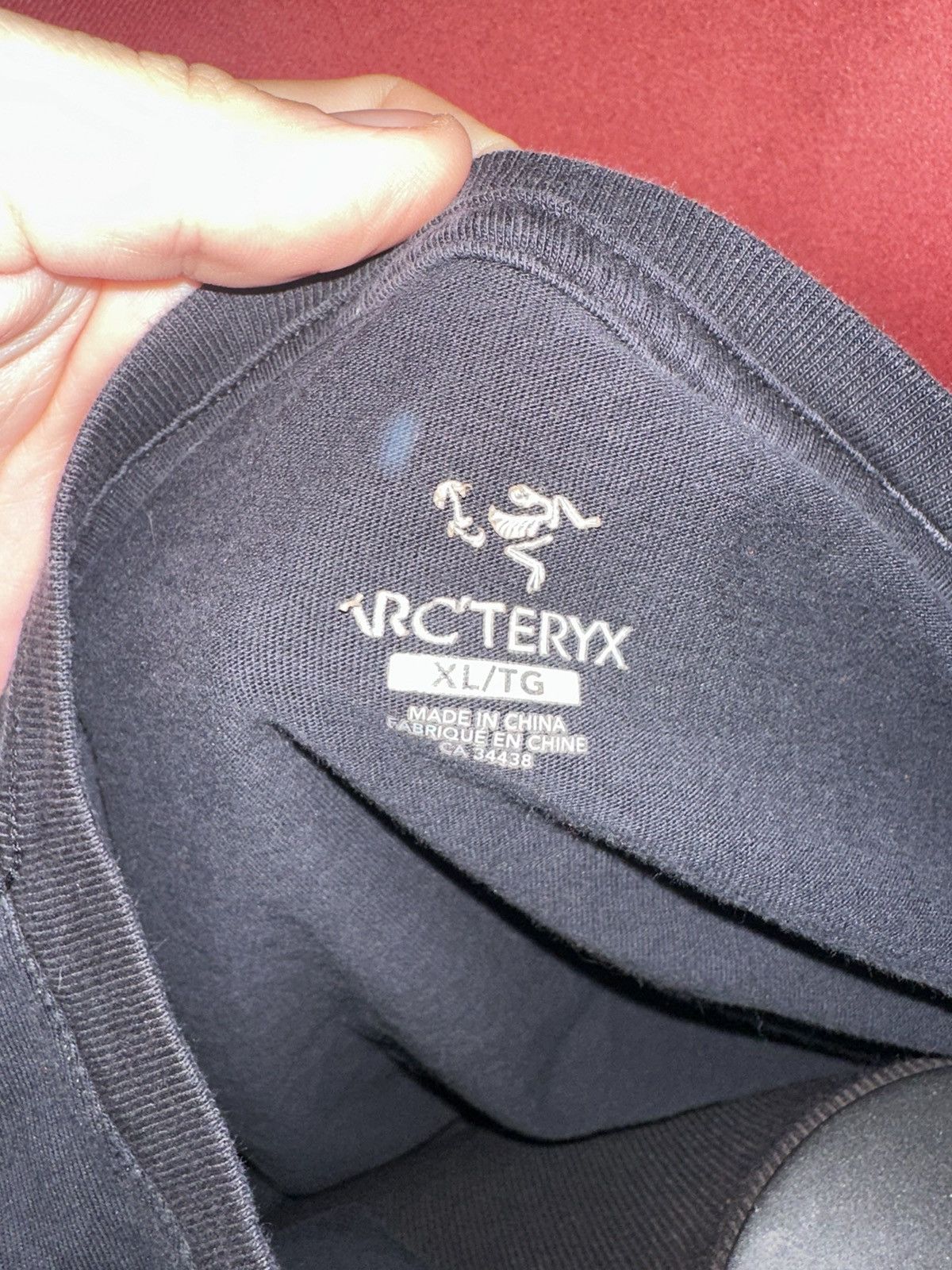 Arc'teryx Arc’teryx Big Logo Tshirt Tonal Bird GorpCore Grail Size US XL / EU 56 / 4 - 4 Thumbnail