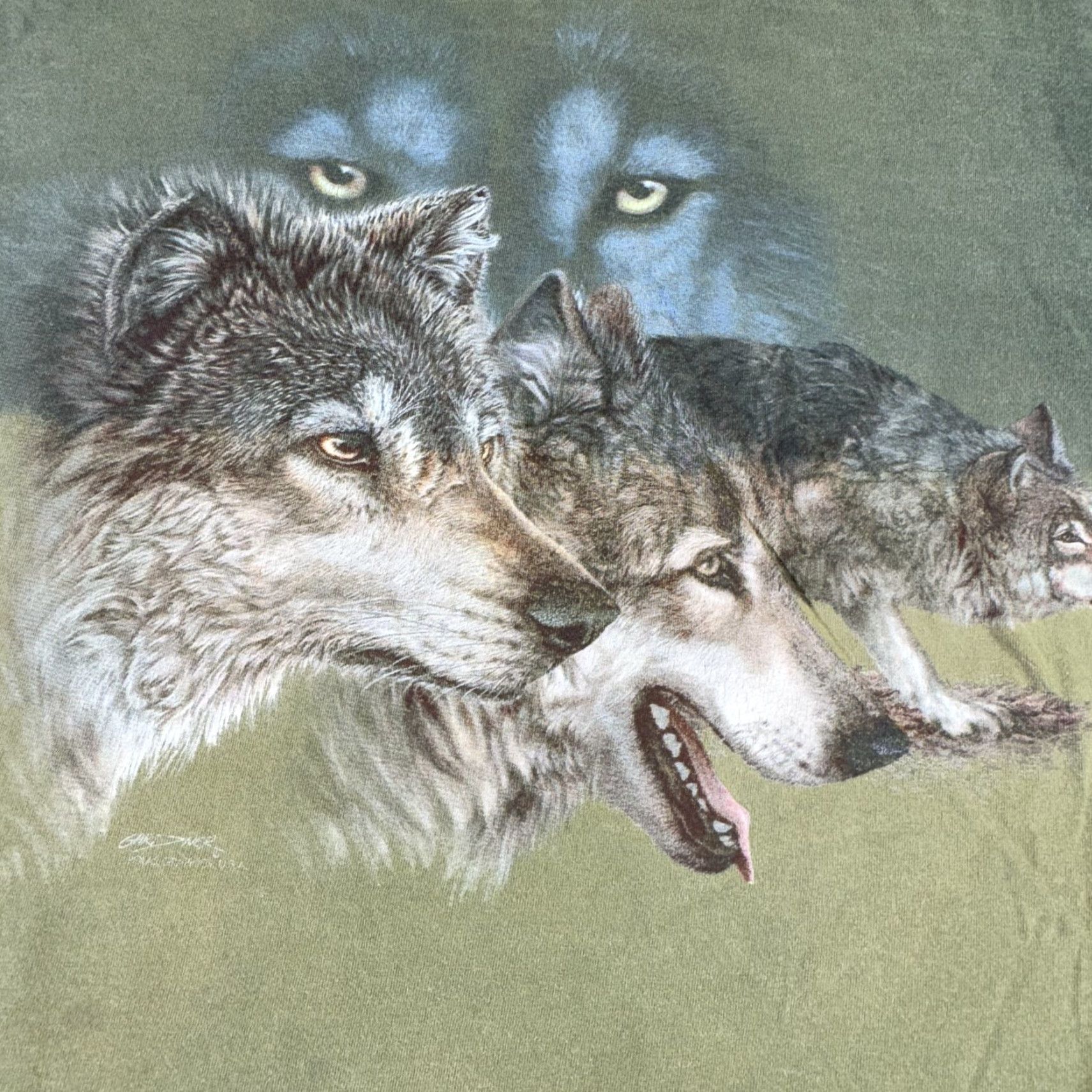 Vintage VINTAGE Polar Graphics Wolf Shirt Mens 2XL Green 90s Tee Wildlife Washington Tulalip Nature Graphic Print Crew Neck Short Sleeve Mens Size US XXL / EU 58 / 5 - 2 Thumbnail