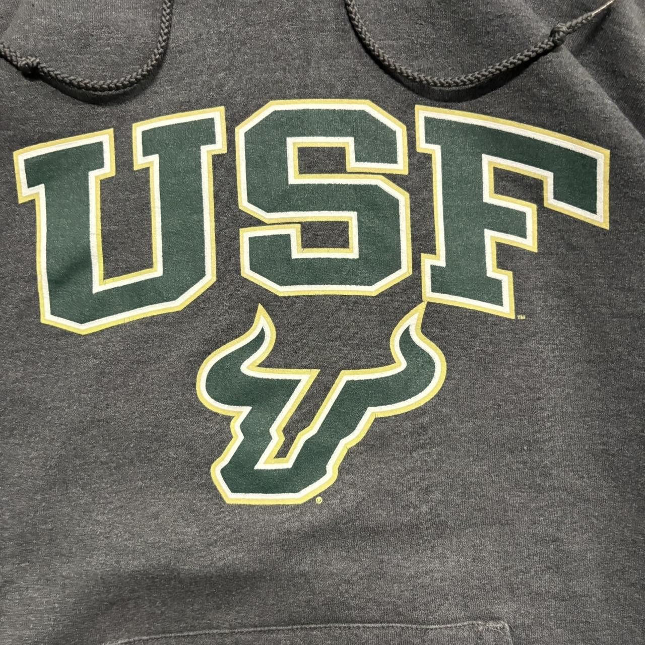 Vintage Crazy Vintage Y2K/2000s University of south florida bulls Champion Collegiate Hoodie! Size US M / EU 48-50 / 2 - 2 Thumbnail