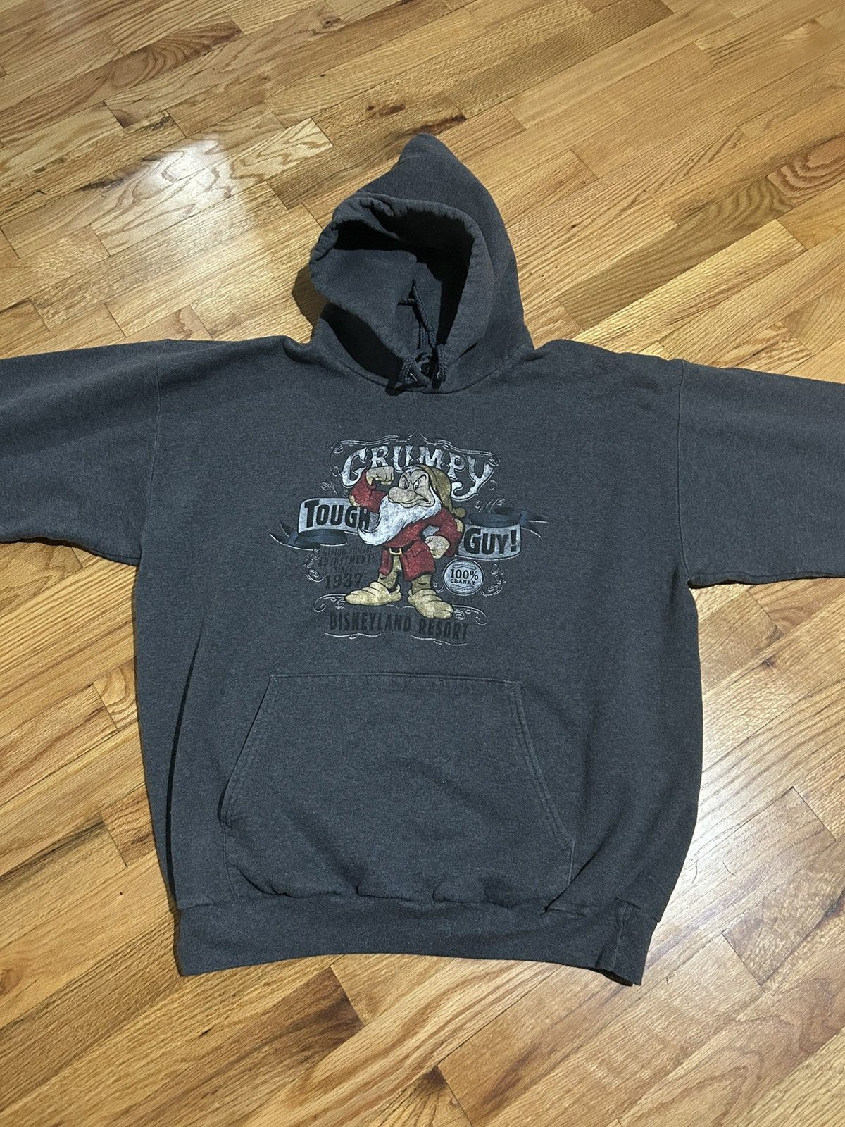 Disney Disneyland Hoodie Large Size US L / EU 52-54 / 3 - 1 Thumbnail