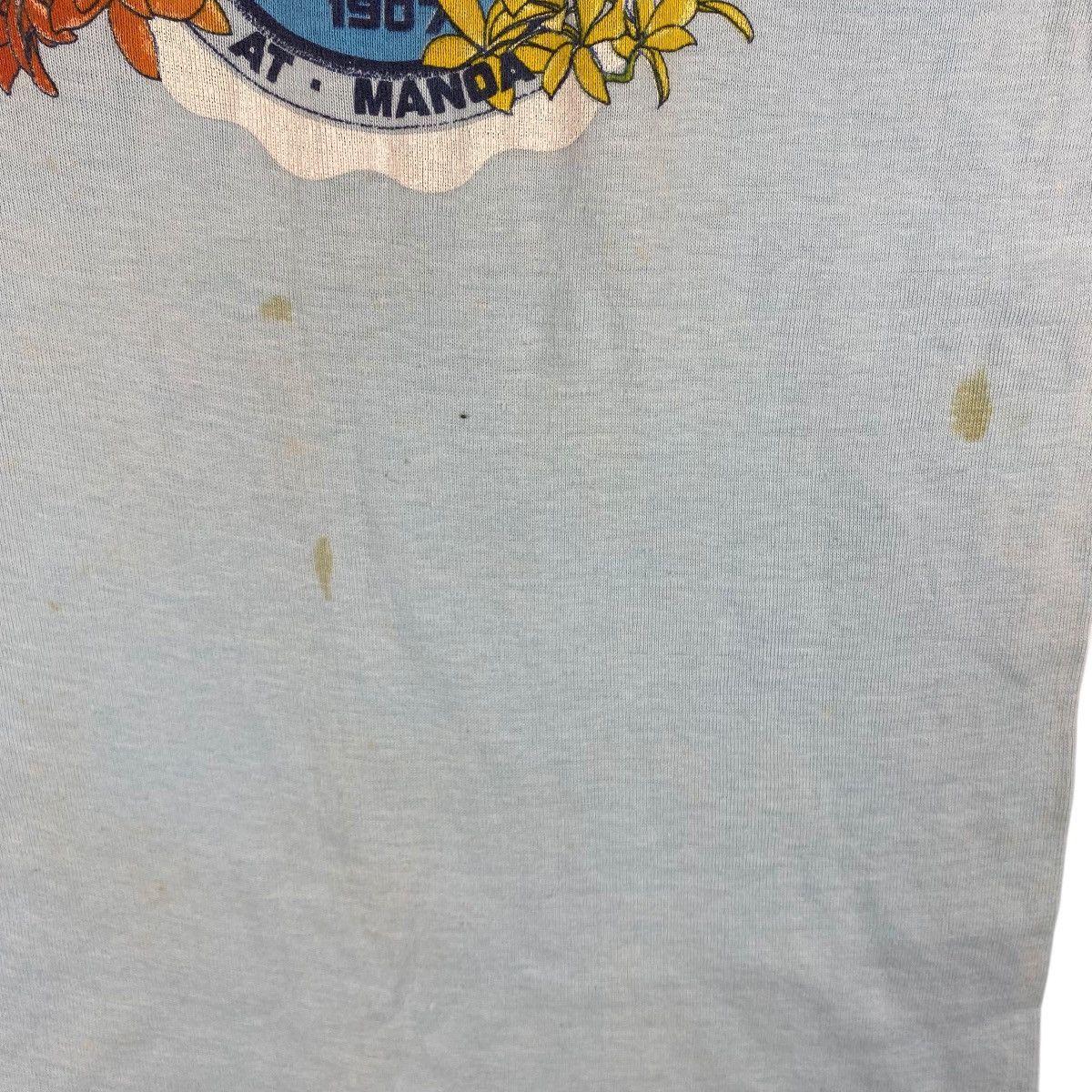 Vintage Vintage 70s 80s UNIVERSITY OF HAWAII At Manoa Graphic Tee Size XL / US 12-14 / IT 48-50 - 3 Thumbnail