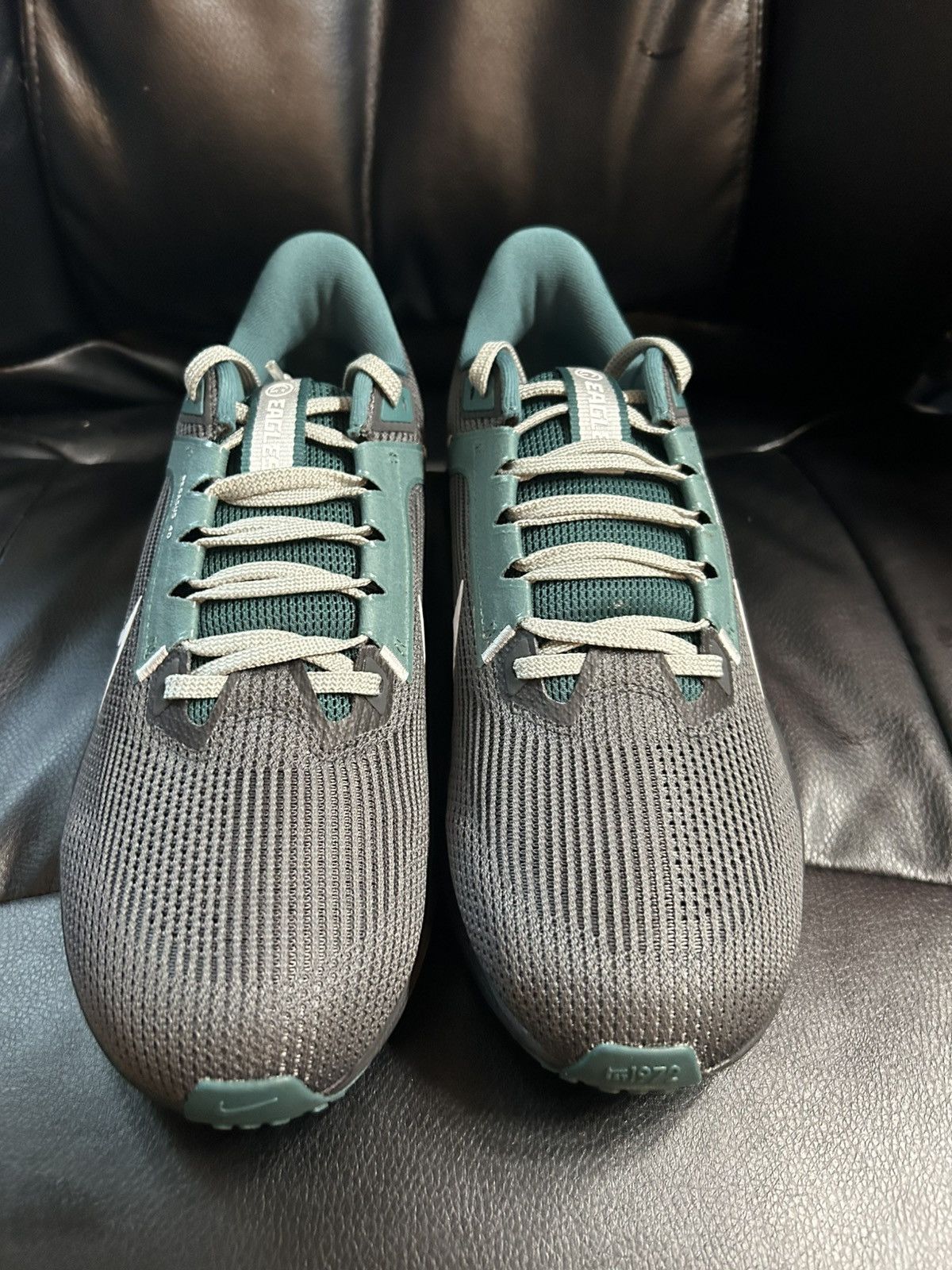 Nike x NFL Air Zoom Pegasus 40 Philadelphia Eagles Sz 10M