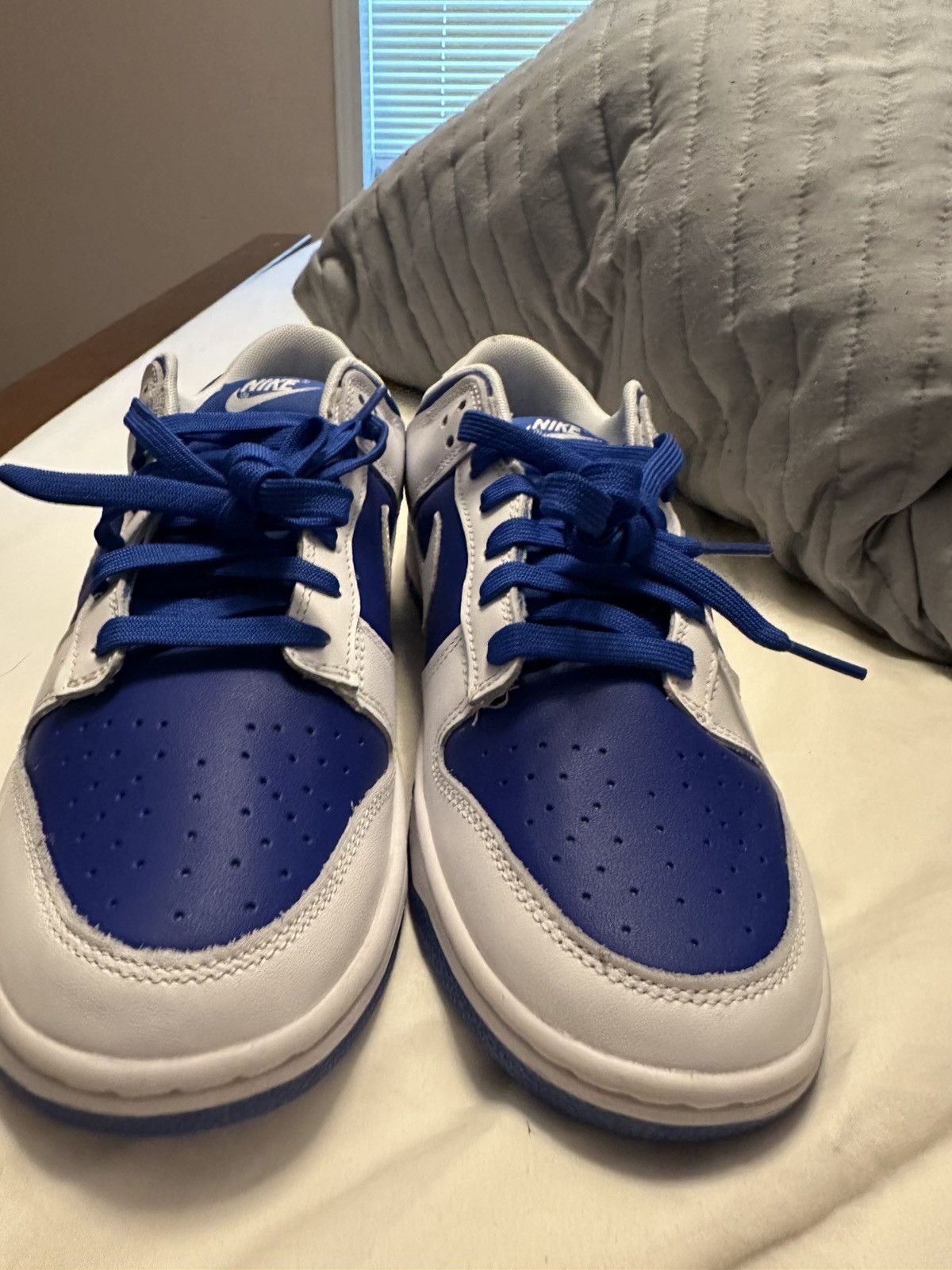 Nike Dunk 9.5 Blue/White Size US 9.5 / EU 42-43 - 7 Thumbnail
