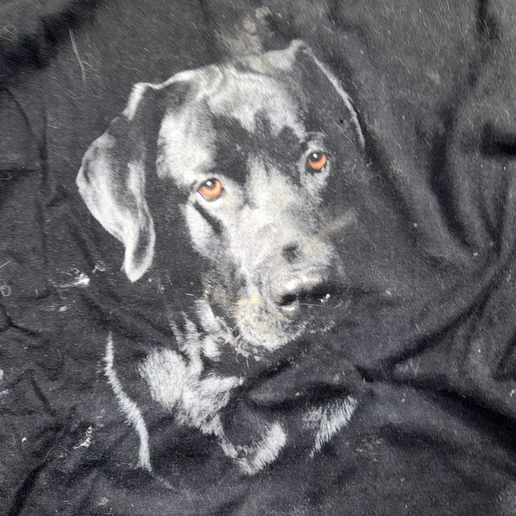 AAA VINTAGE Black Lab Dog T-Shirt Shirt 2XL Men Black Graphic Print 90s 80s 70s Dogs Size US XXL / EU 58 / 5 - 2 Thumbnail