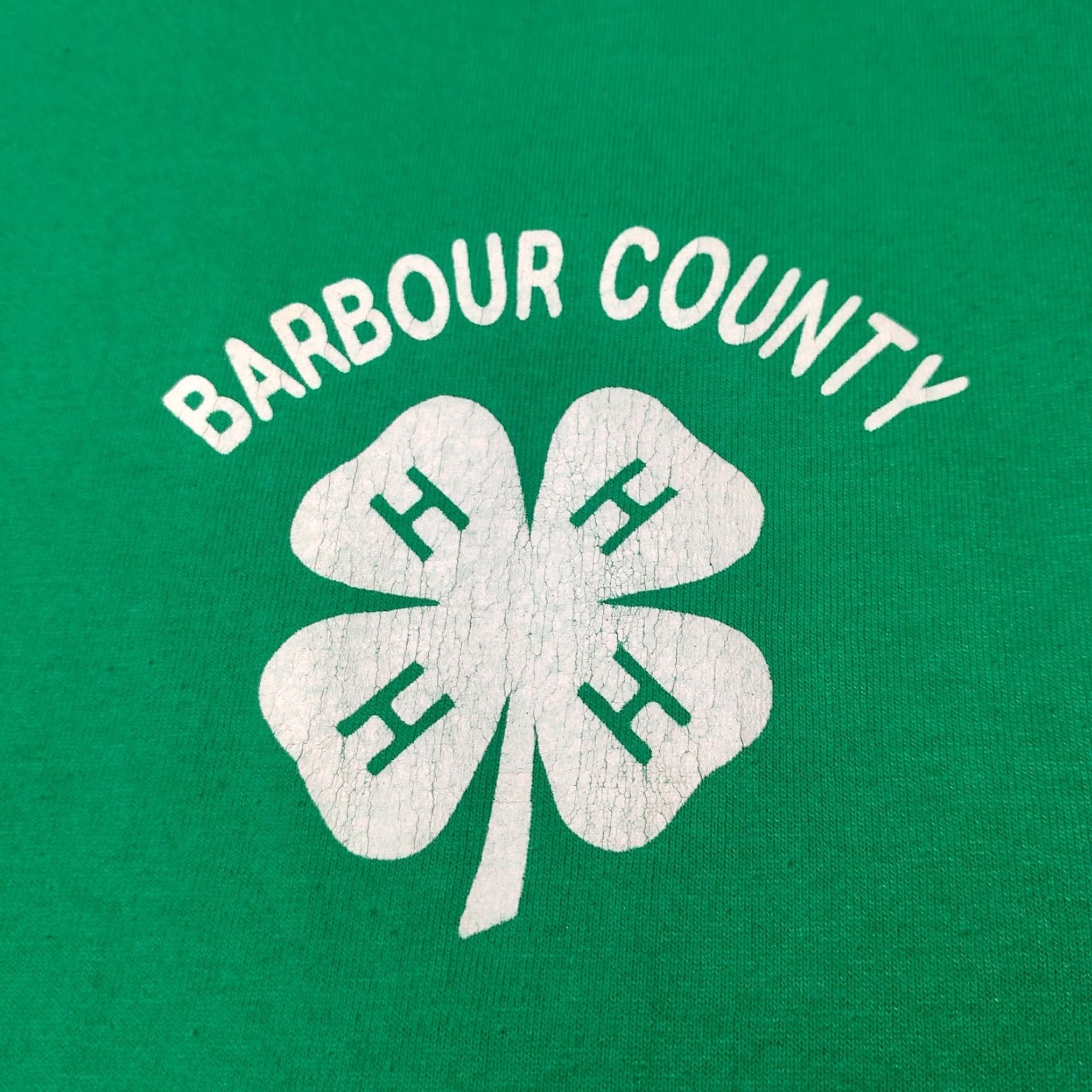 Hanes VINTAGE Hanes 4H Club T Shirt Large L Barbour County West Virginia Farm Single Stitch Men Green Cotton Polyester Short Sleeve Crew Neck Size US L / EU 52-54 / 3 - 2 Thumbnail