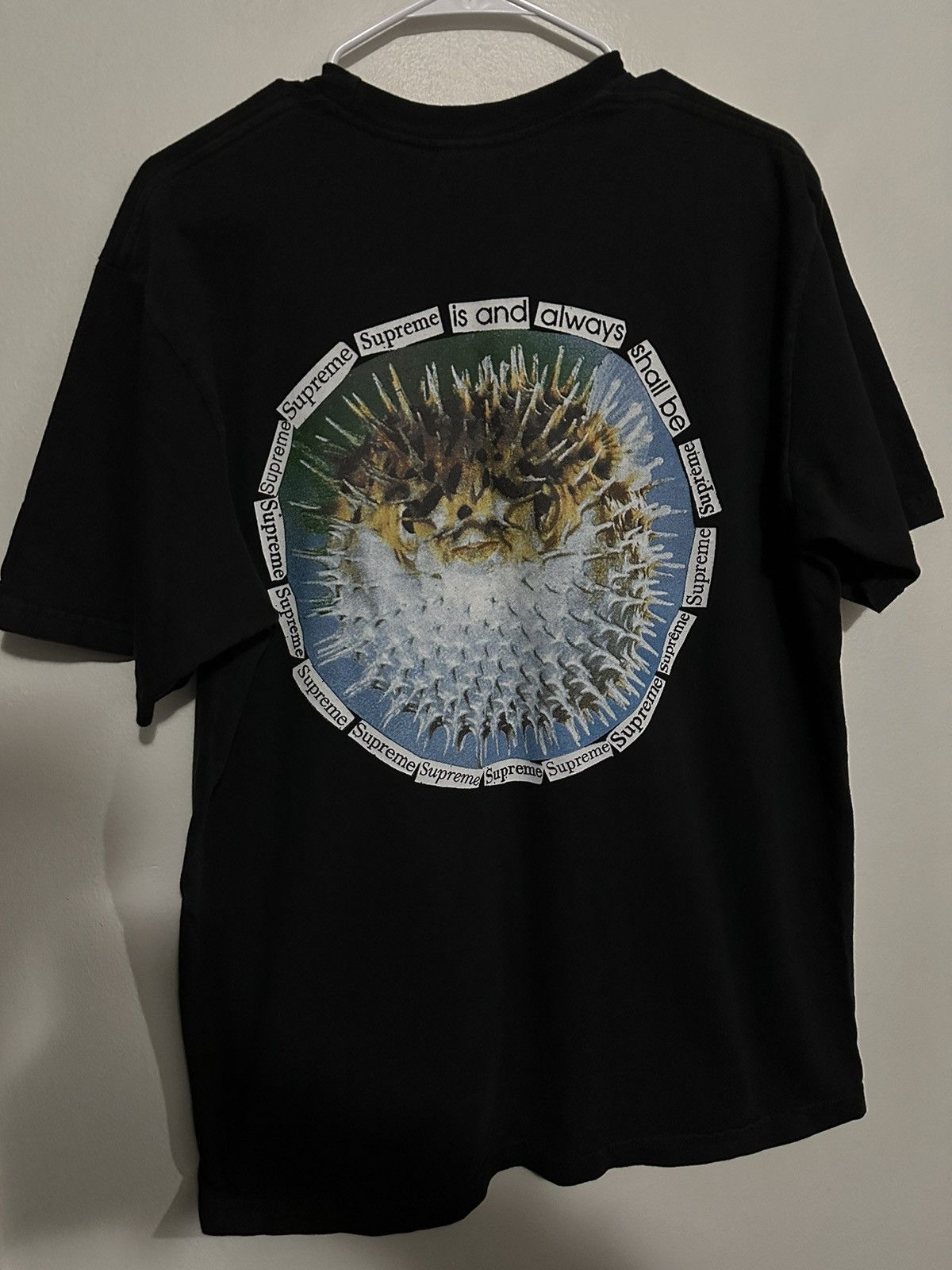 Supreme Supreme Blowfish Tee Size US L / EU 52-54 / 3 - 1 Thumbnail