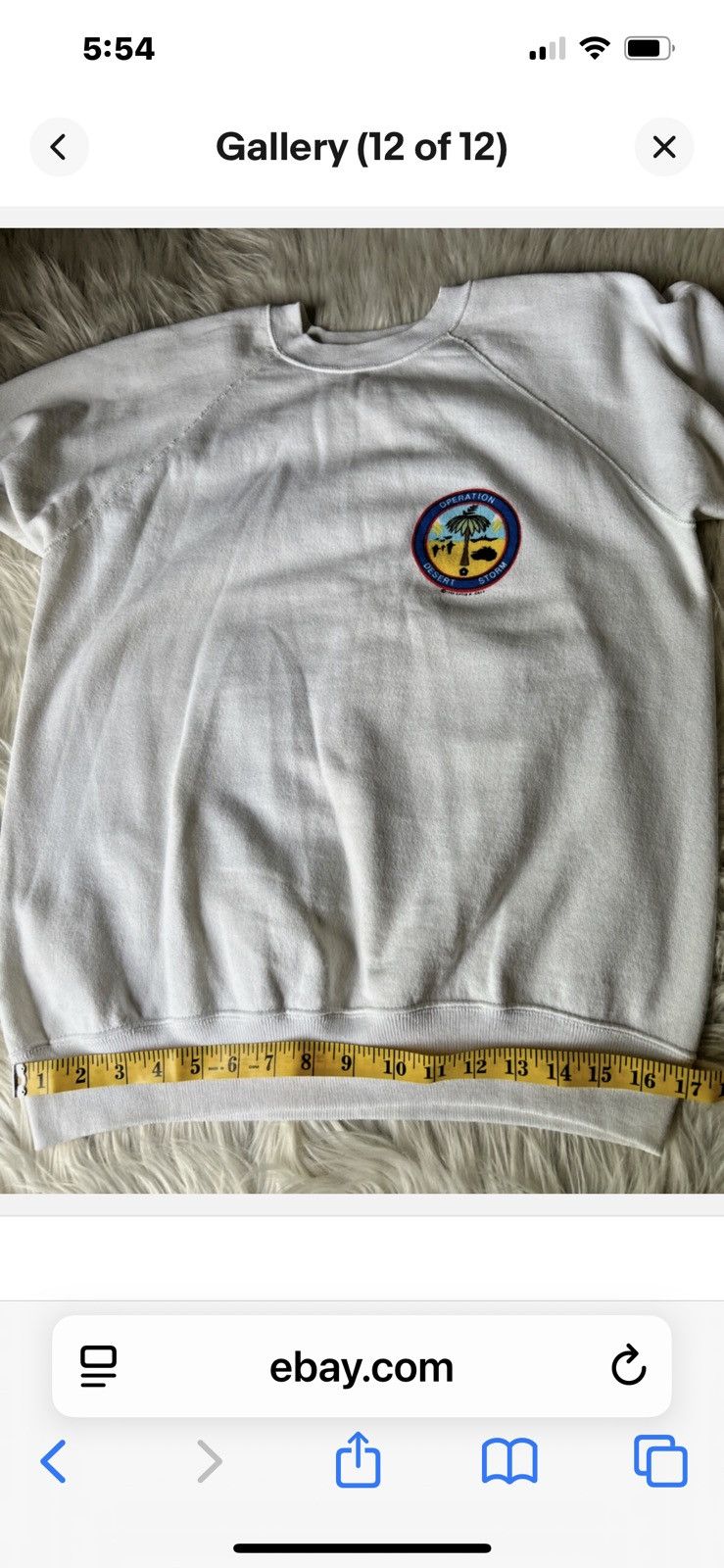 Hanes Operation Desert Storm Americans United Sweatshirt Size L Size US L / EU 52-54 / 3 - 12 Thumbnail