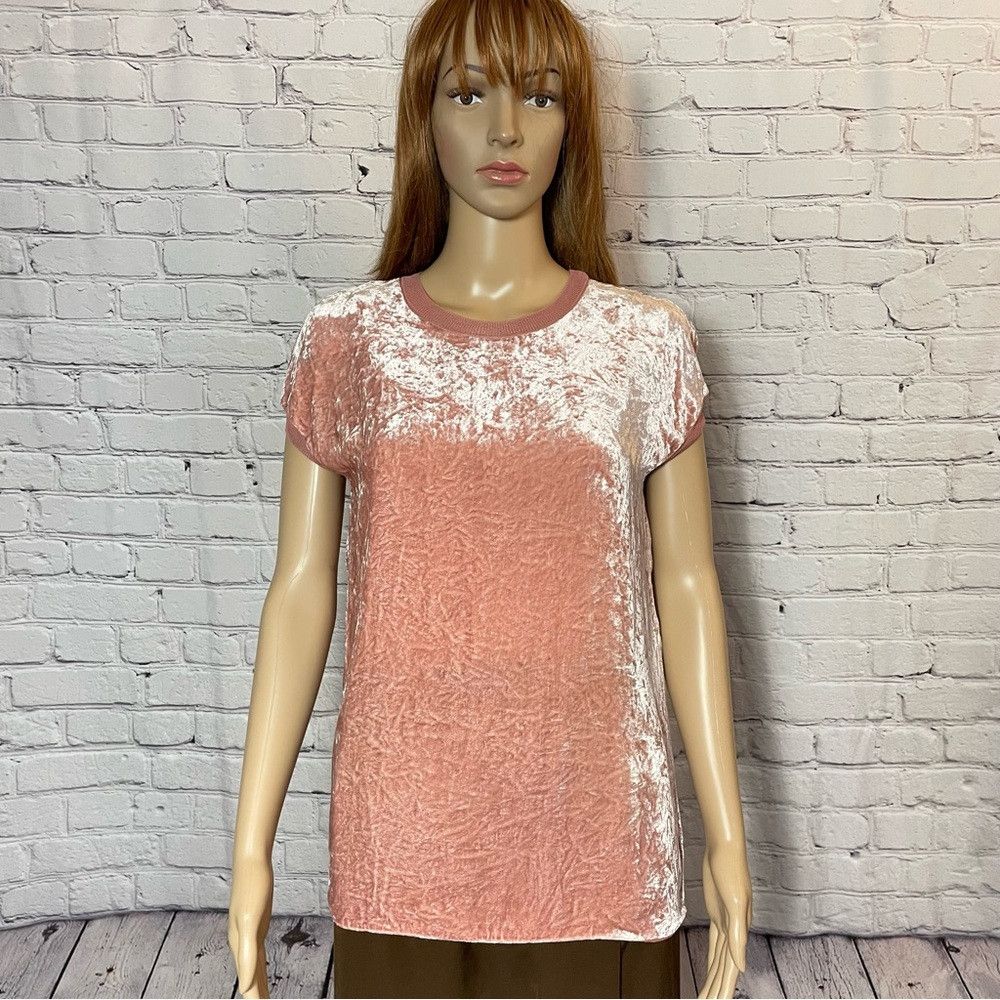 Theory New Theory Crushed Crinkle Velvet Antique Rose Rayon Silk T Size XS / US 0-2 / IT 36-38 - 2 Thumbnail