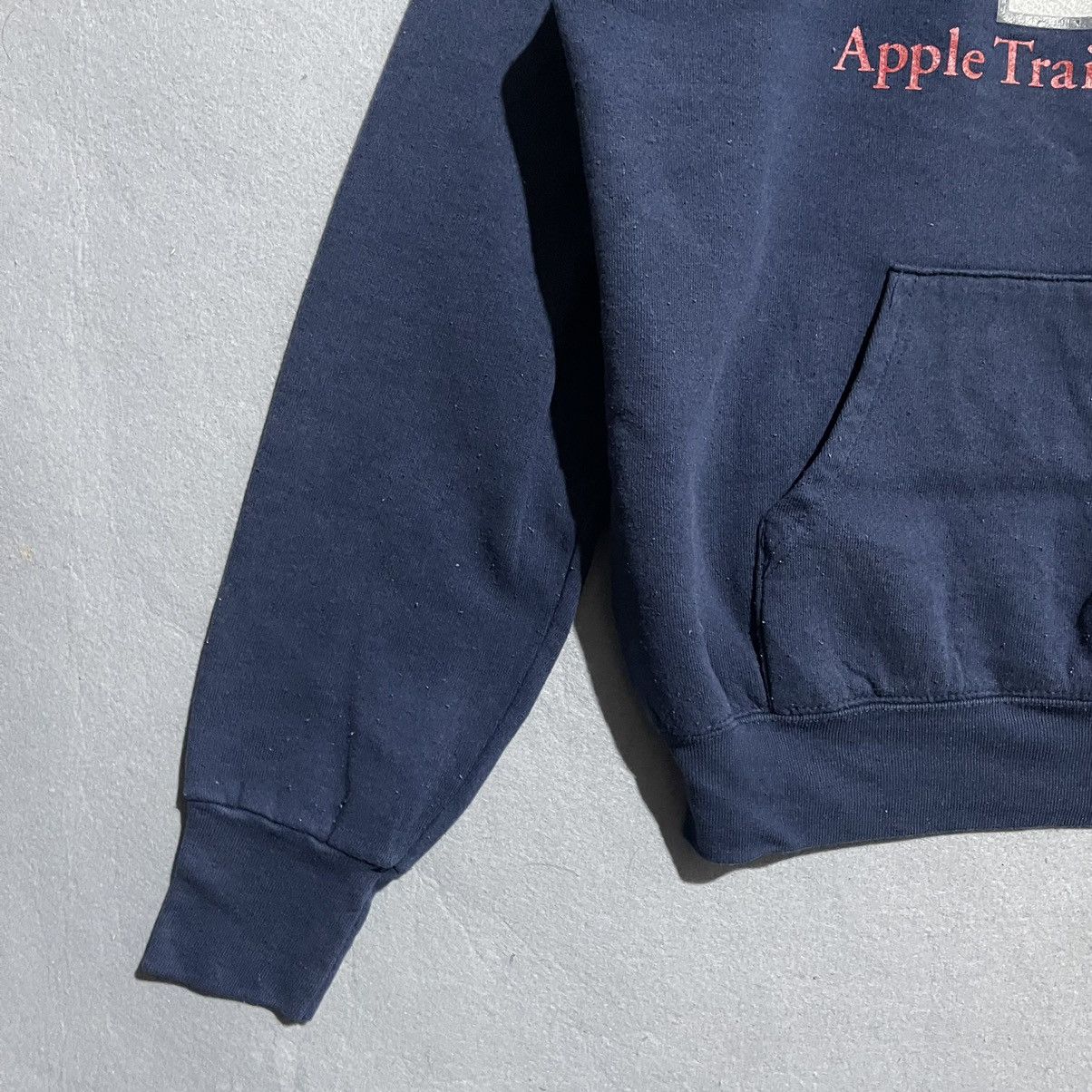 Fruit Of The Loom Vintage Apple Training Video Hoodie – 90s Fruit of the Loom Size US L / EU 52-54 / 3 - 5 Thumbnail