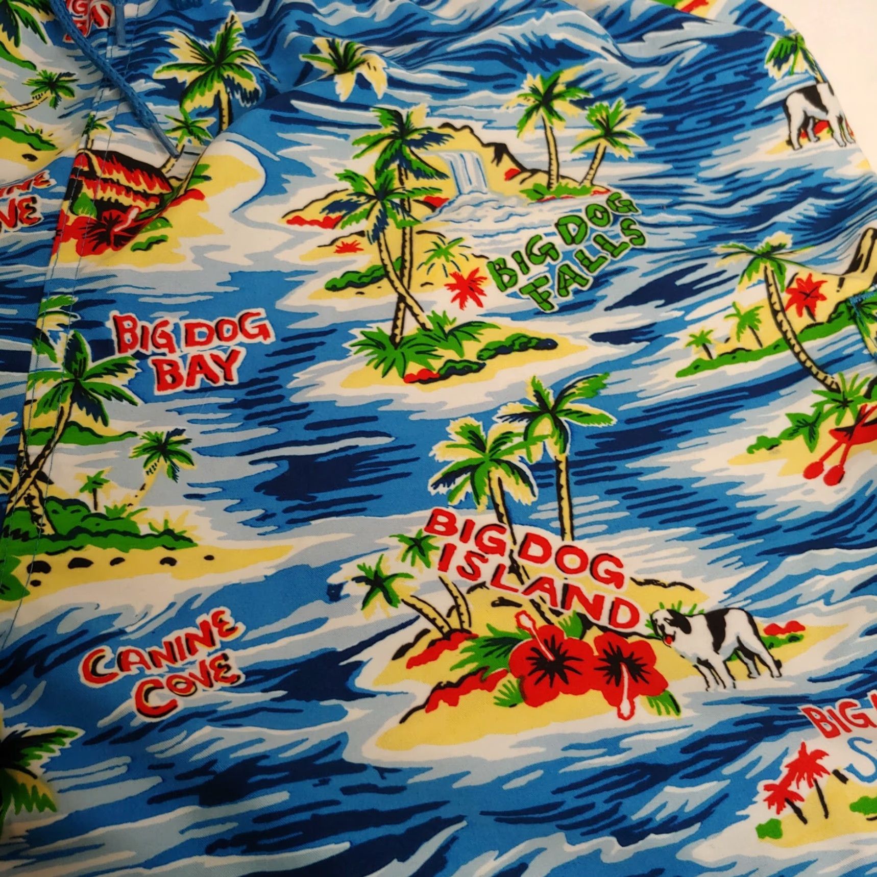 Big Dogs Big Dogs Trunks Mens XL Shorts Print Tropical Island Big Kahuna Beach Size US 36 / EU 52 - 4 Thumbnail