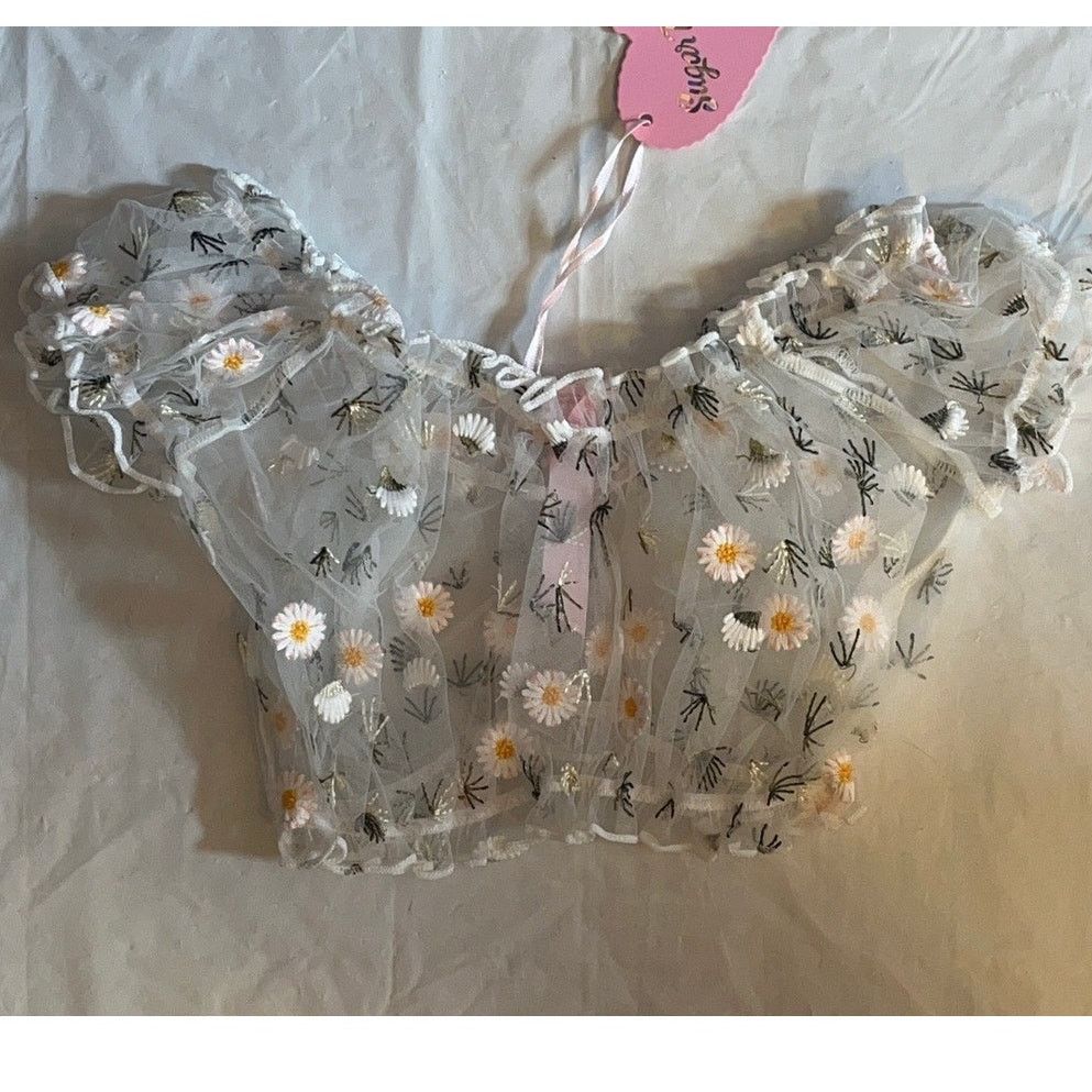 Dolls Kill Dolls kill Sugar Thrillz Daisy Embroidered Mesh Lingerie Set Size ONE SIZE - 8 Thumbnail