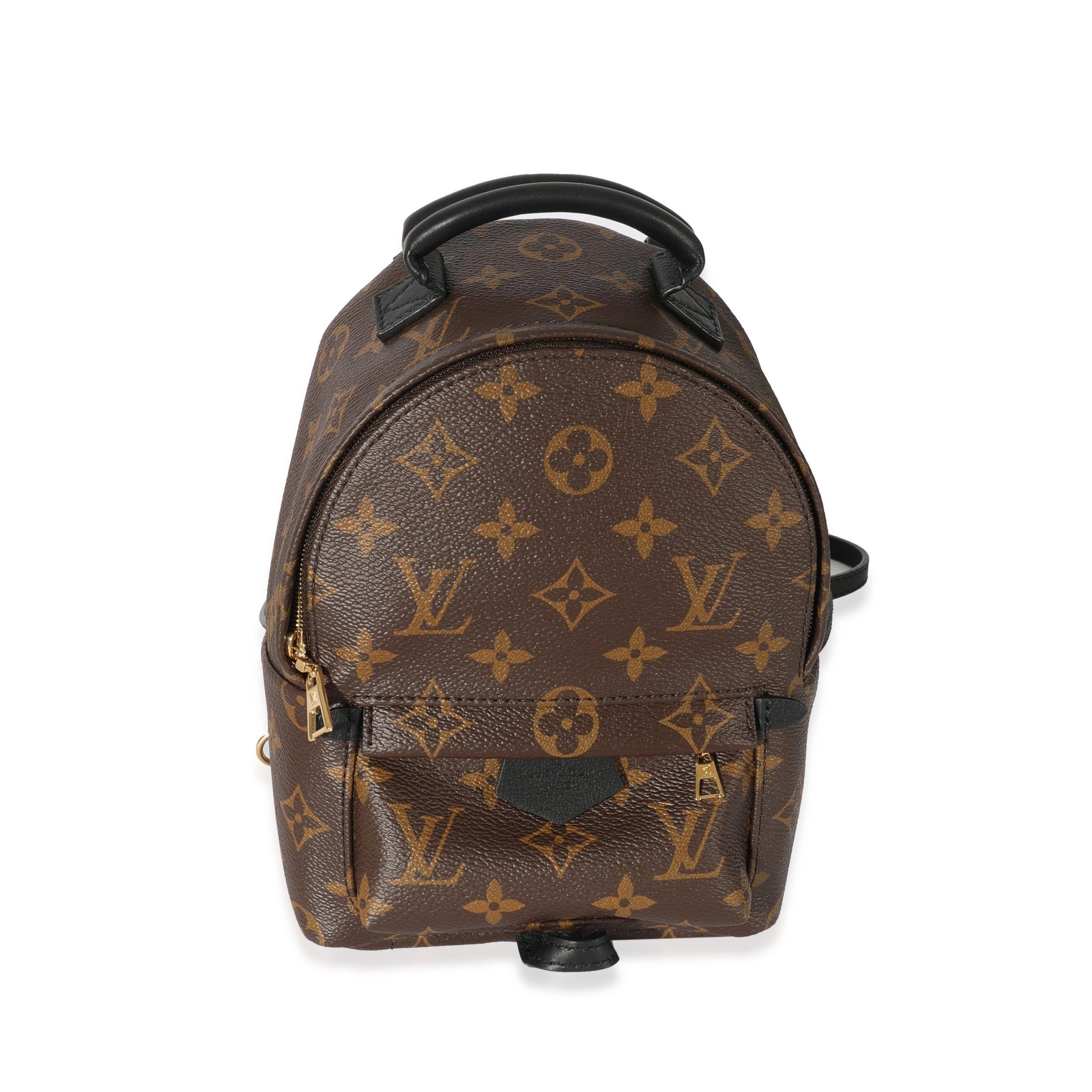 Louis Vuitton Monogram Canvas Mini Palm Springs