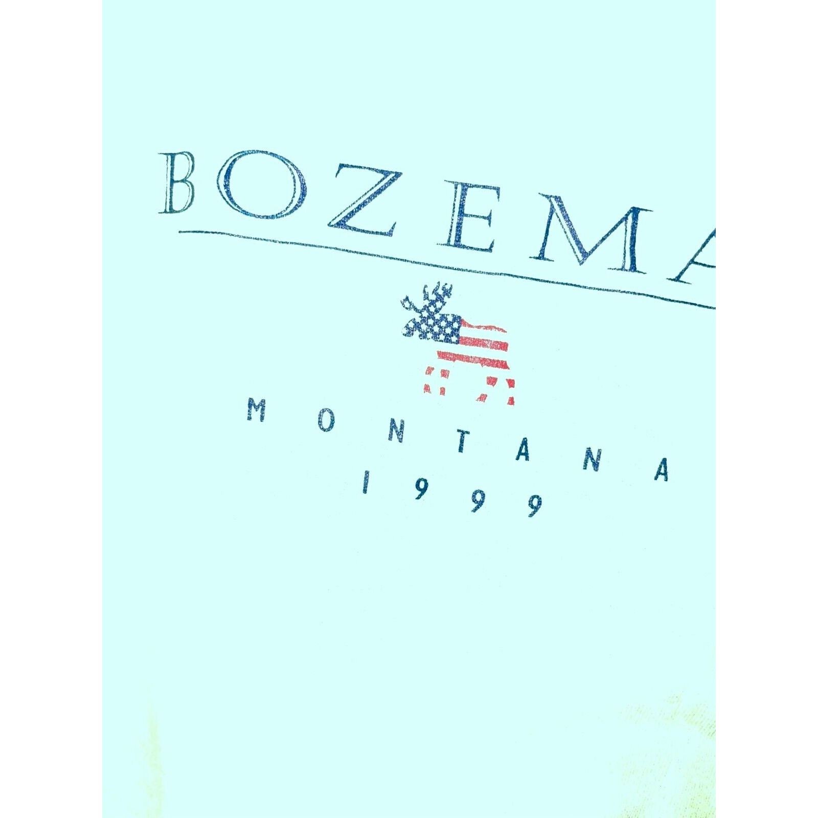 Anvil Vintage Bozeman Shirt Moose Green Tee 90s VTG L Large 1999 Size US L / EU 52-54 / 3 - 3 Thumbnail
