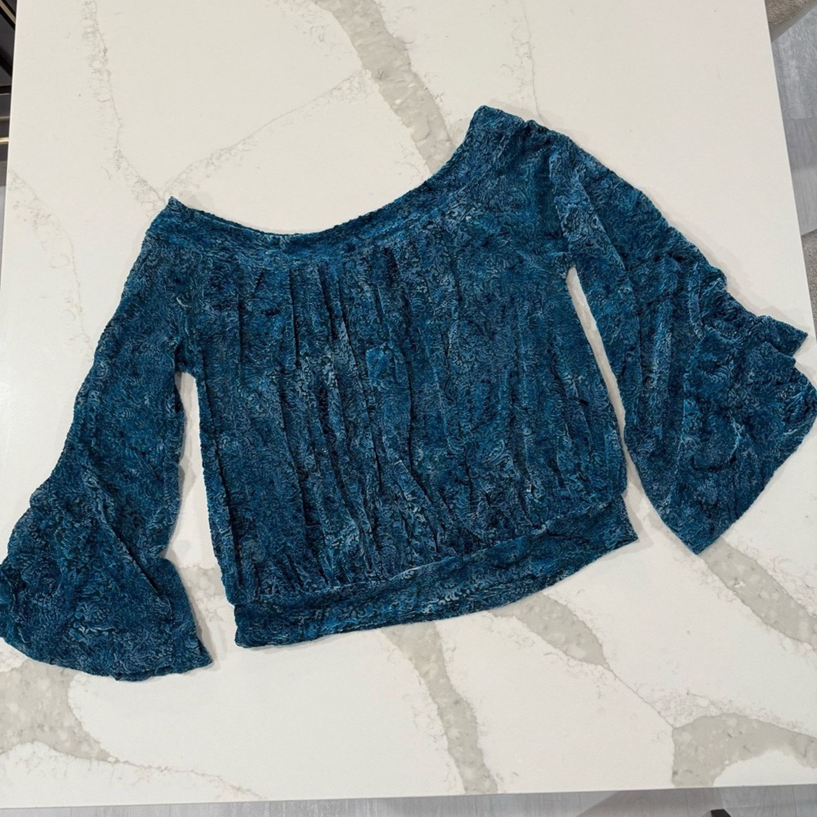 Free People Free People Ginger Berry Sheer Top Burnout Velvet Women’s M Size M / US 6-8 / IT 42-44 - 12 Thumbnail