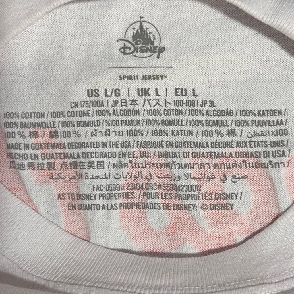 Disney Disney Parks Epcot 2023 International Food & Wine Festival Spirit Jersey in Large Size L / US 10 / IT 46 - 9 Thumbnail