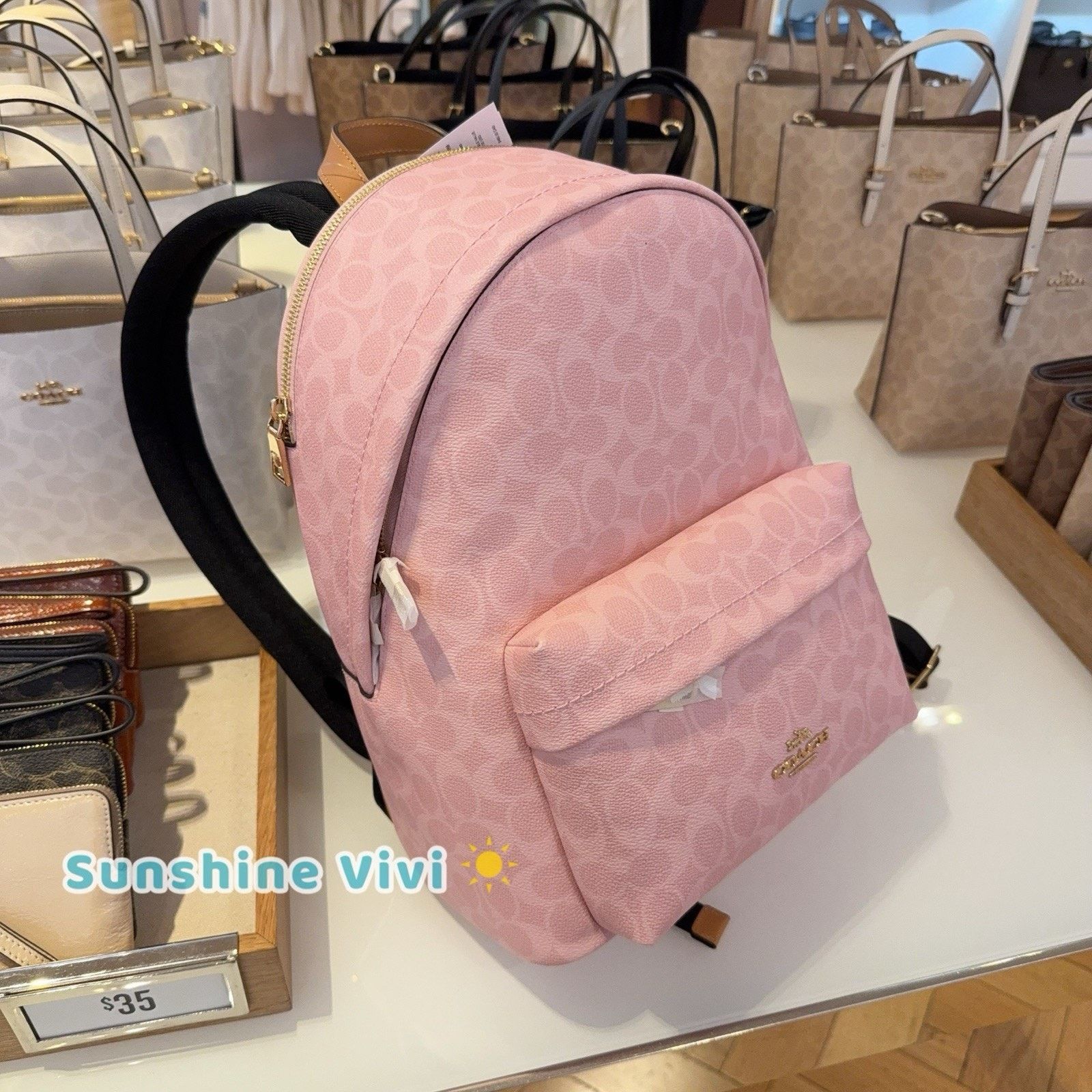 Coach NWT Coach CEF46 Taylor Small Backpack Charms Powder pink Size ONE SIZE - 3 Thumbnail