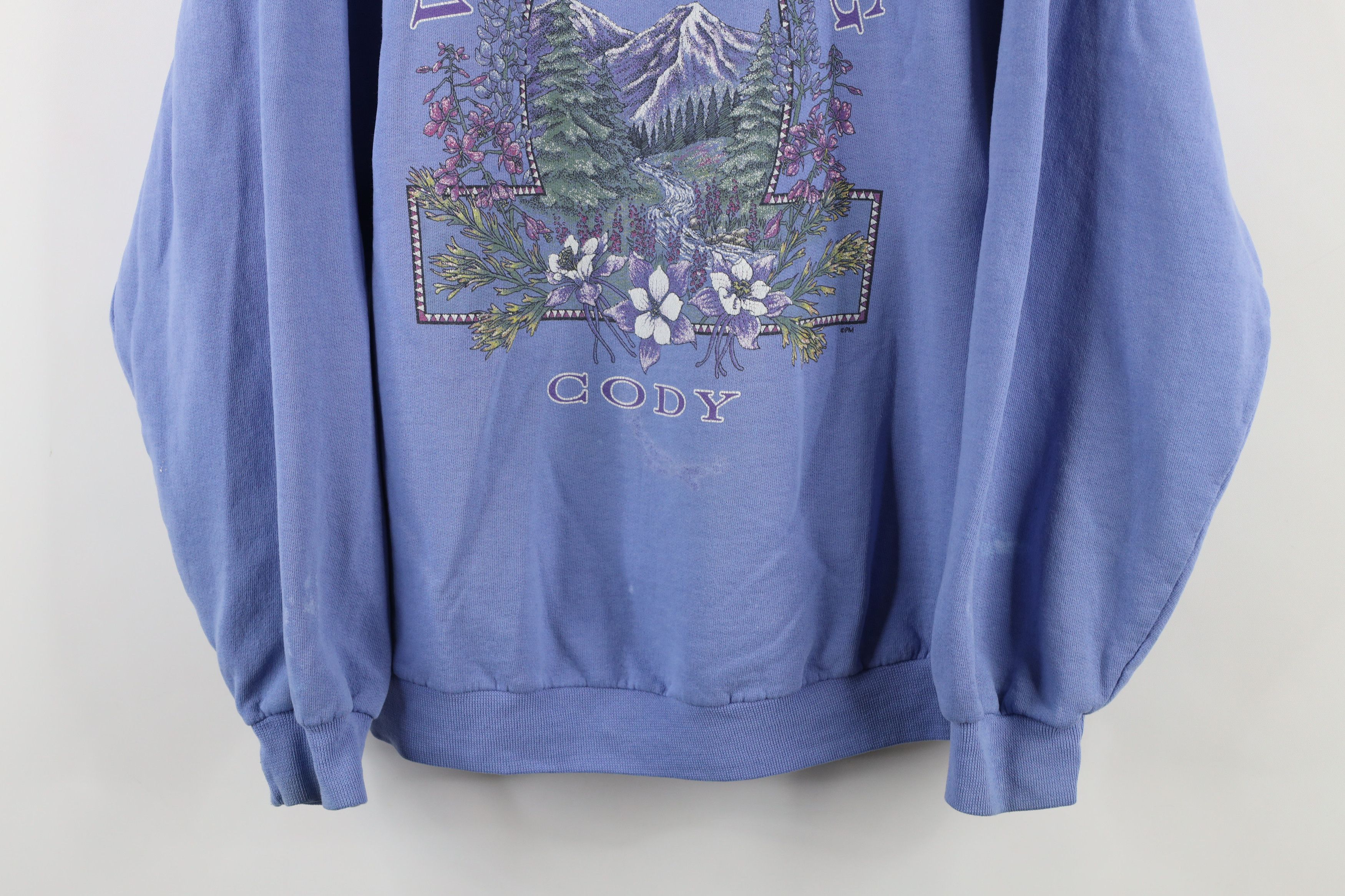 Vintage Vintage 90s Streetwear Flower Nature Cody Wyoming Sweatshirt Size L / US 10 / IT 46 - 3 Thumbnail