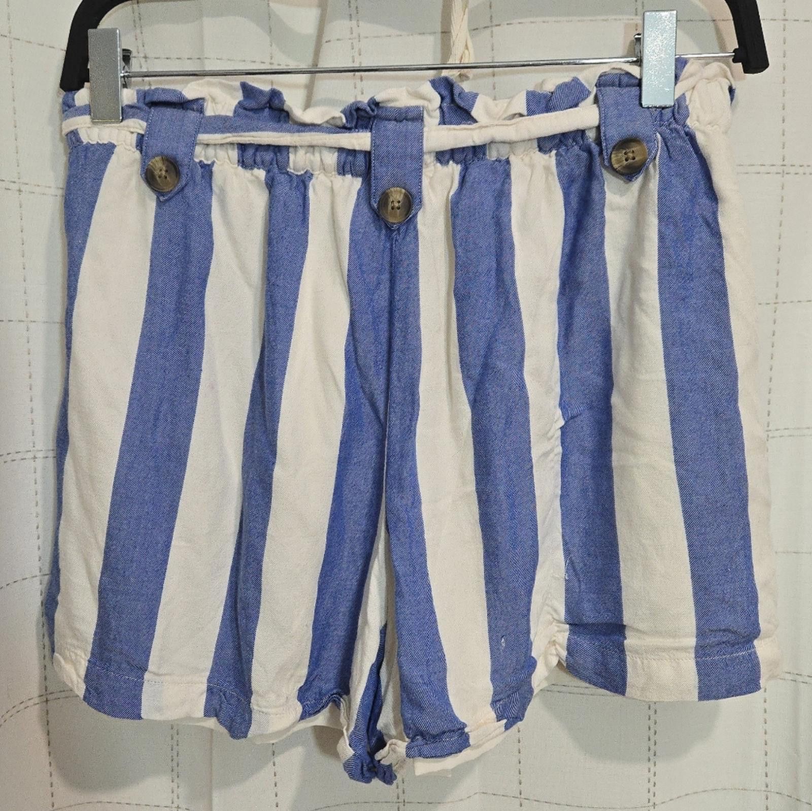 American Eagle Outfitters AE Striped Shorts Size 32" / US 10 / IT 46 - 5 Thumbnail