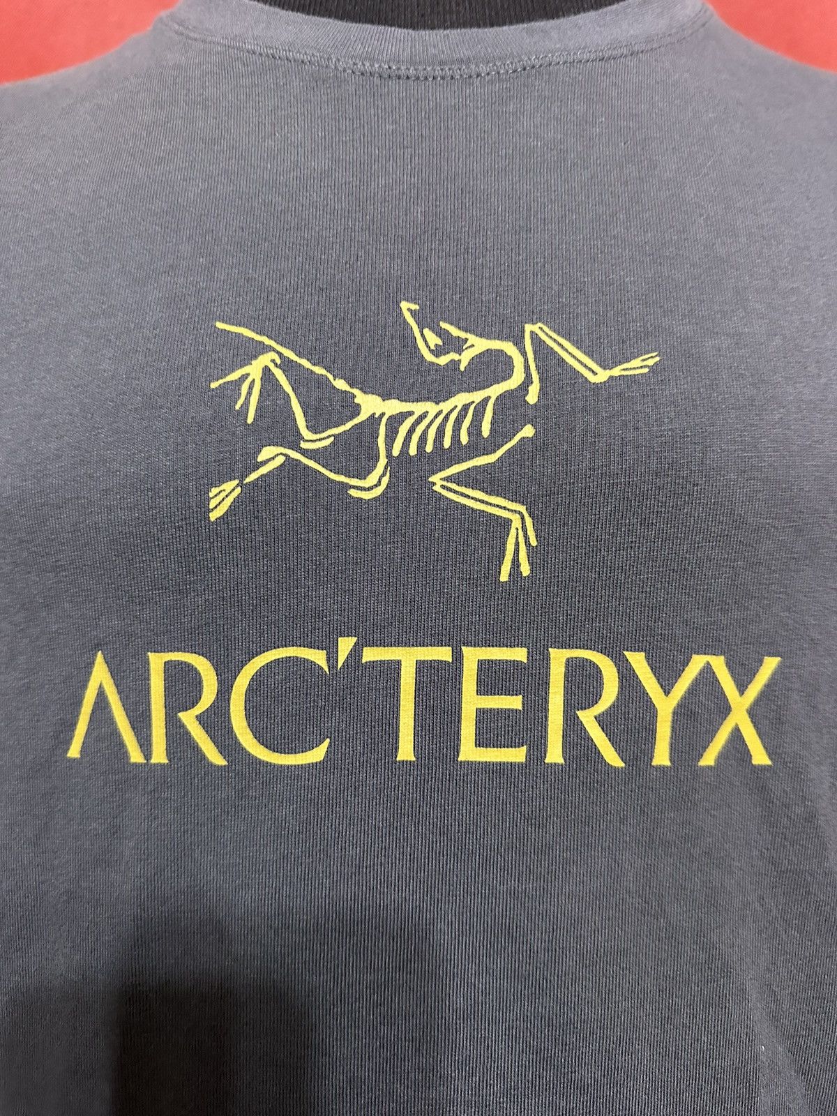 Arc'teryx Arc’teryx Bird Logo Tshirt Y2K Spell Out GorpCore Grail Size US M / EU 48-50 / 2 - 3 Thumbnail